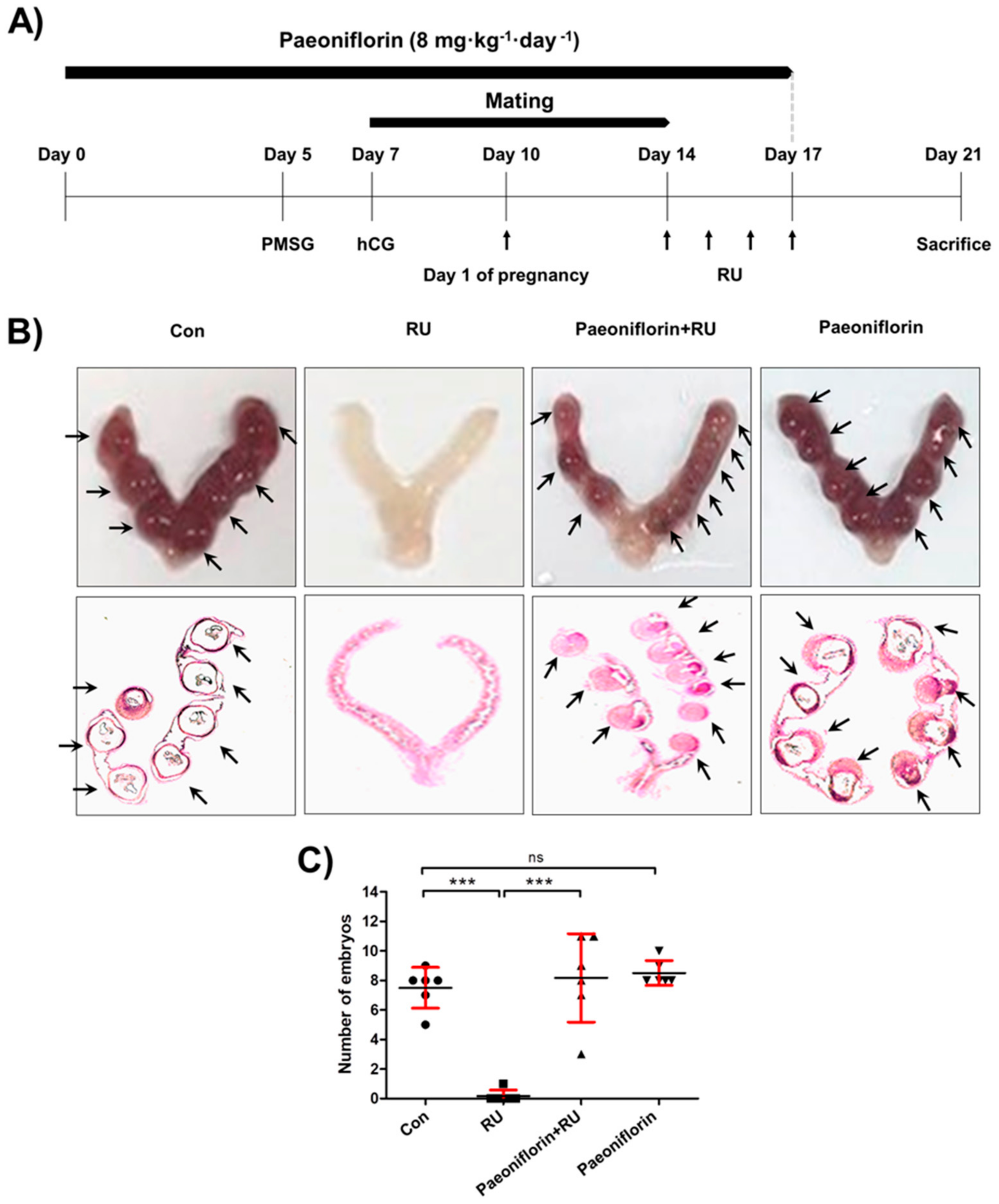 Biomolecules 11 00439 g002 Biomolecules 11 00439 g002