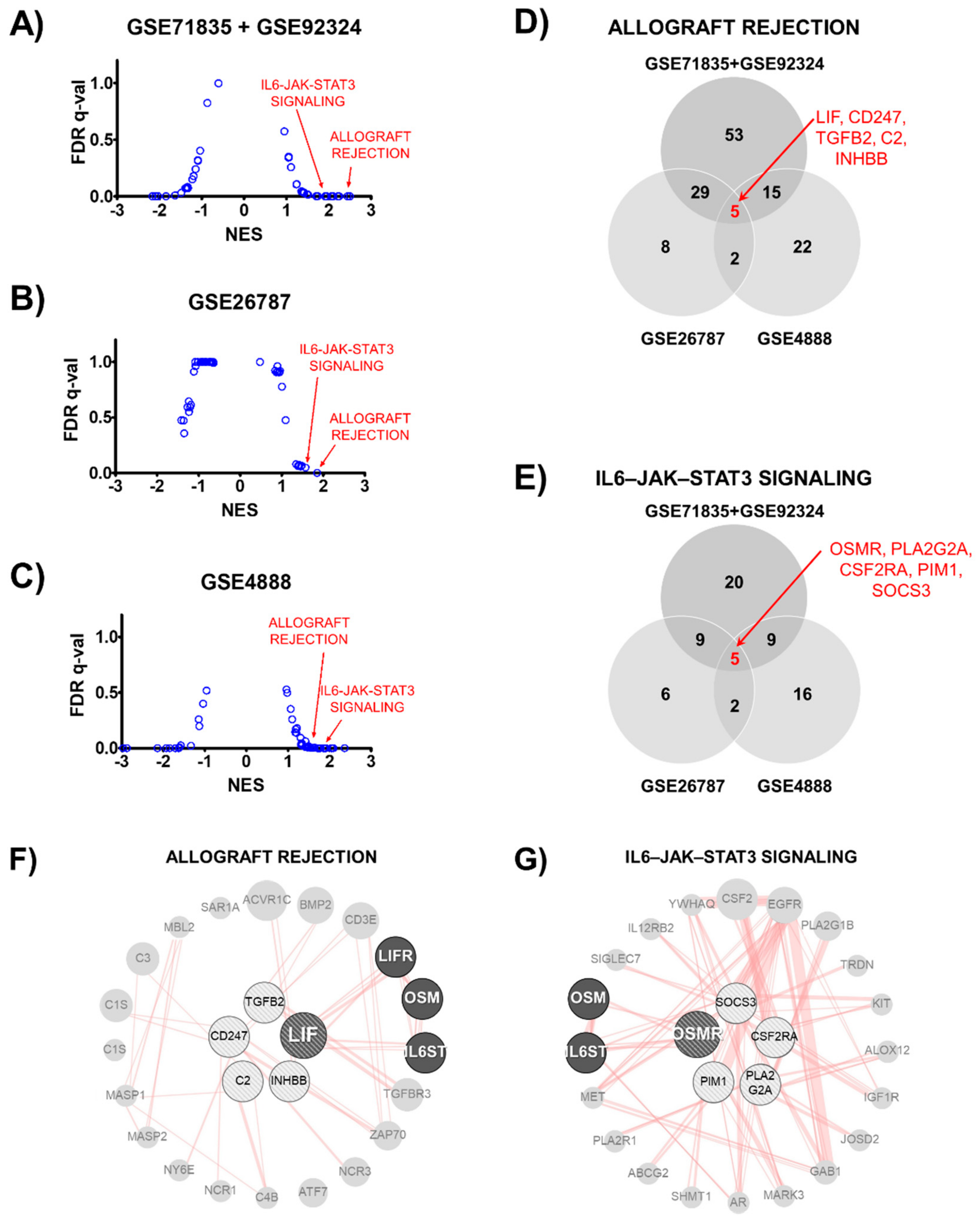 Biomolecules 11 00439 g005 Biomolecules 11 00439 g005