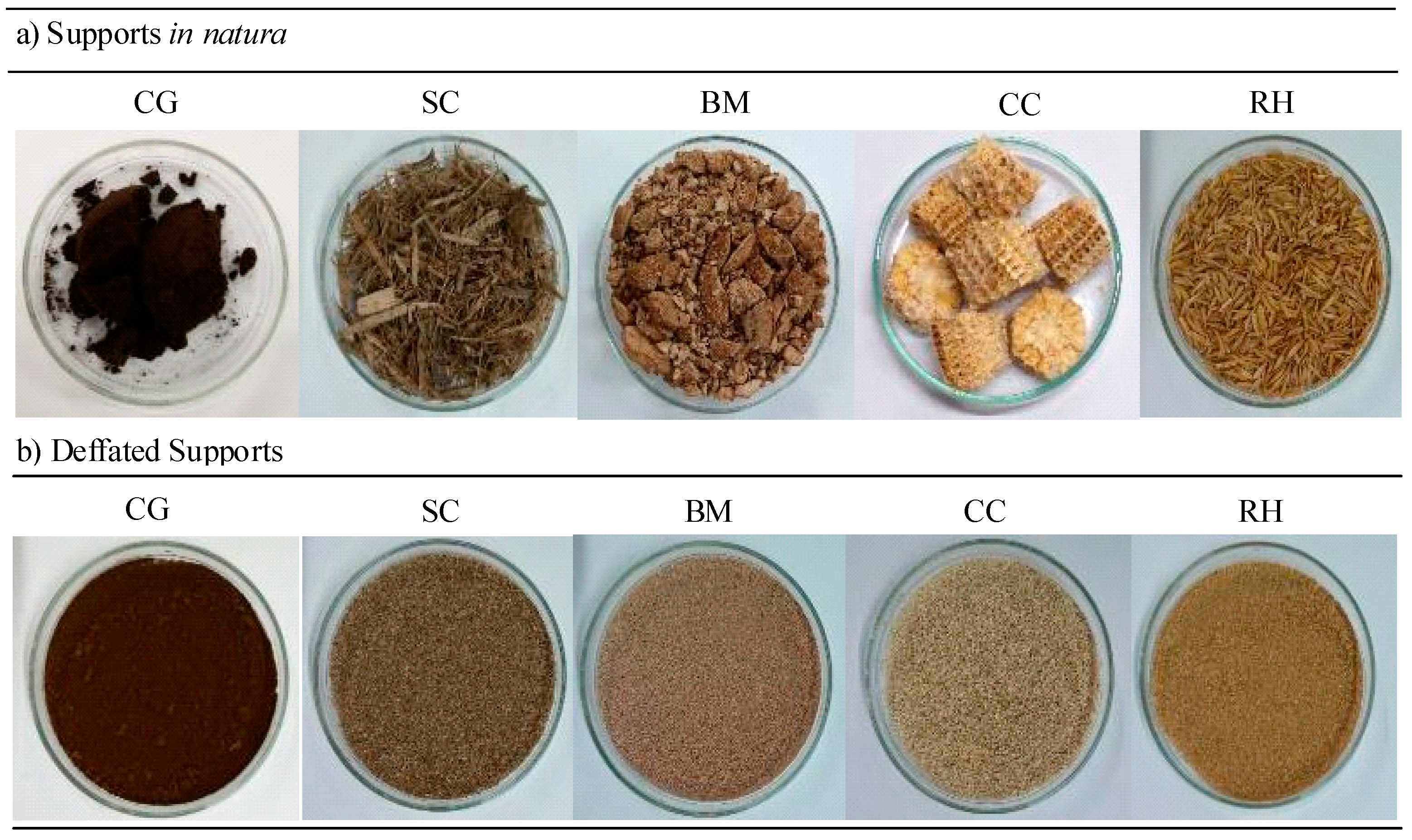Biomolecules 11 00445 g001 Biomolecules 11 00445 g001
