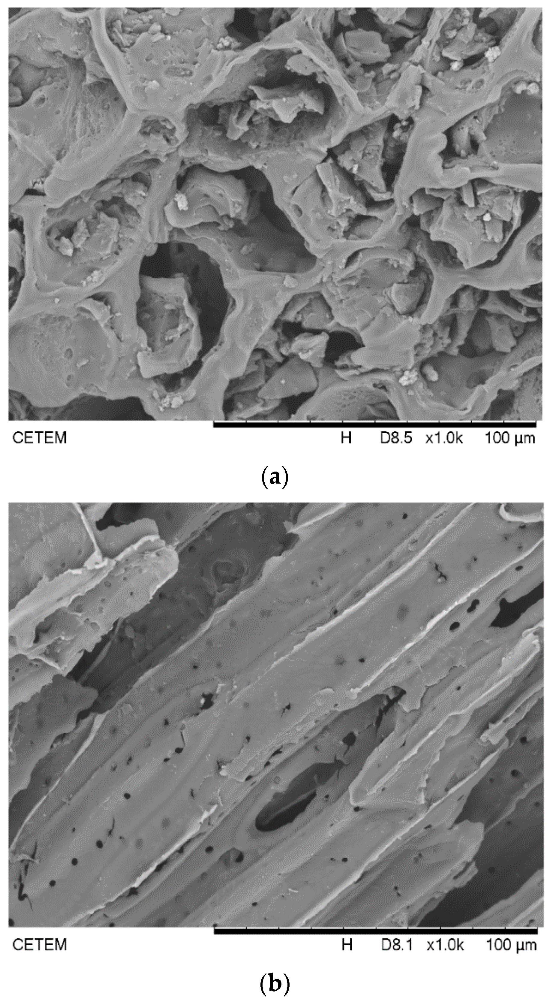 Biomolecules 11 00445 g004a Biomolecules 11 00445 g004a