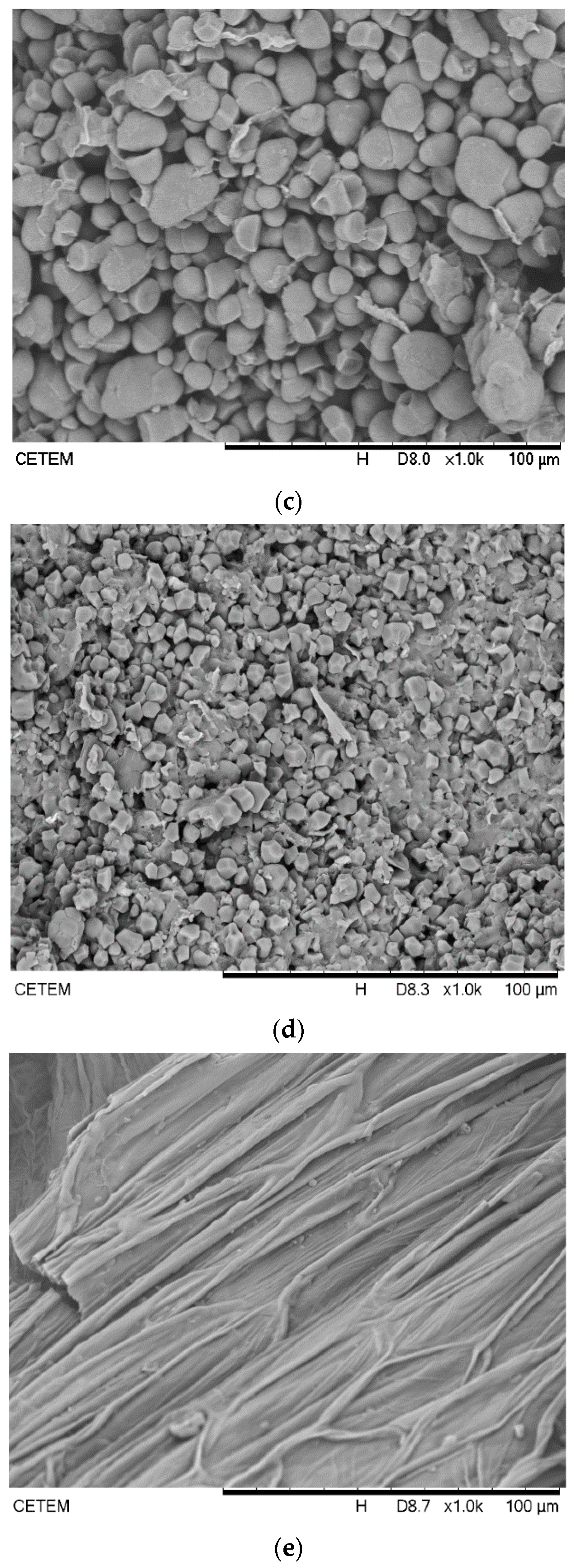 Biomolecules 11 00445 g004b Biomolecules 11 00445 g004b
