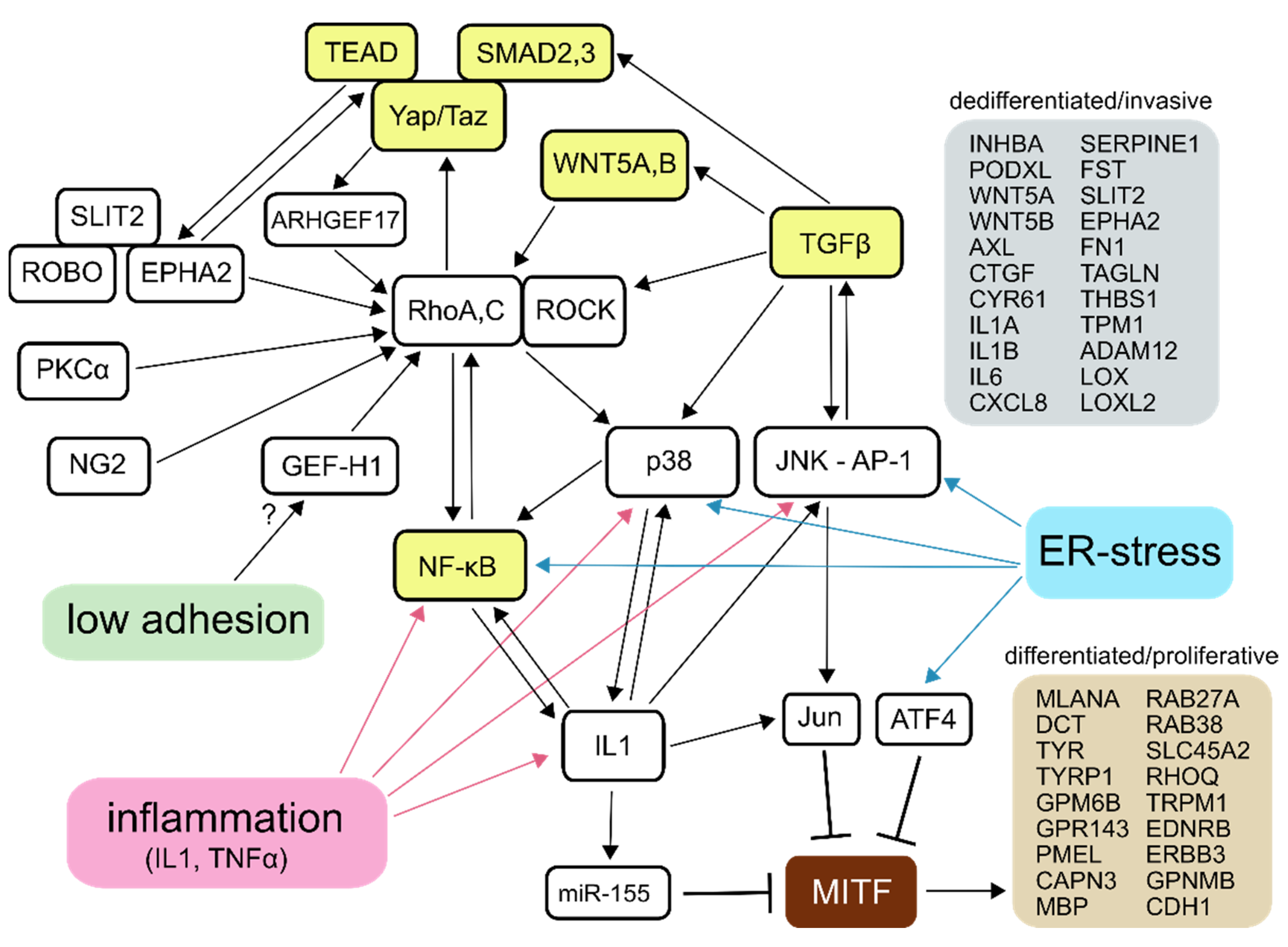Biomolecules 11 00449 g001 Biomolecules 11 00449 g001