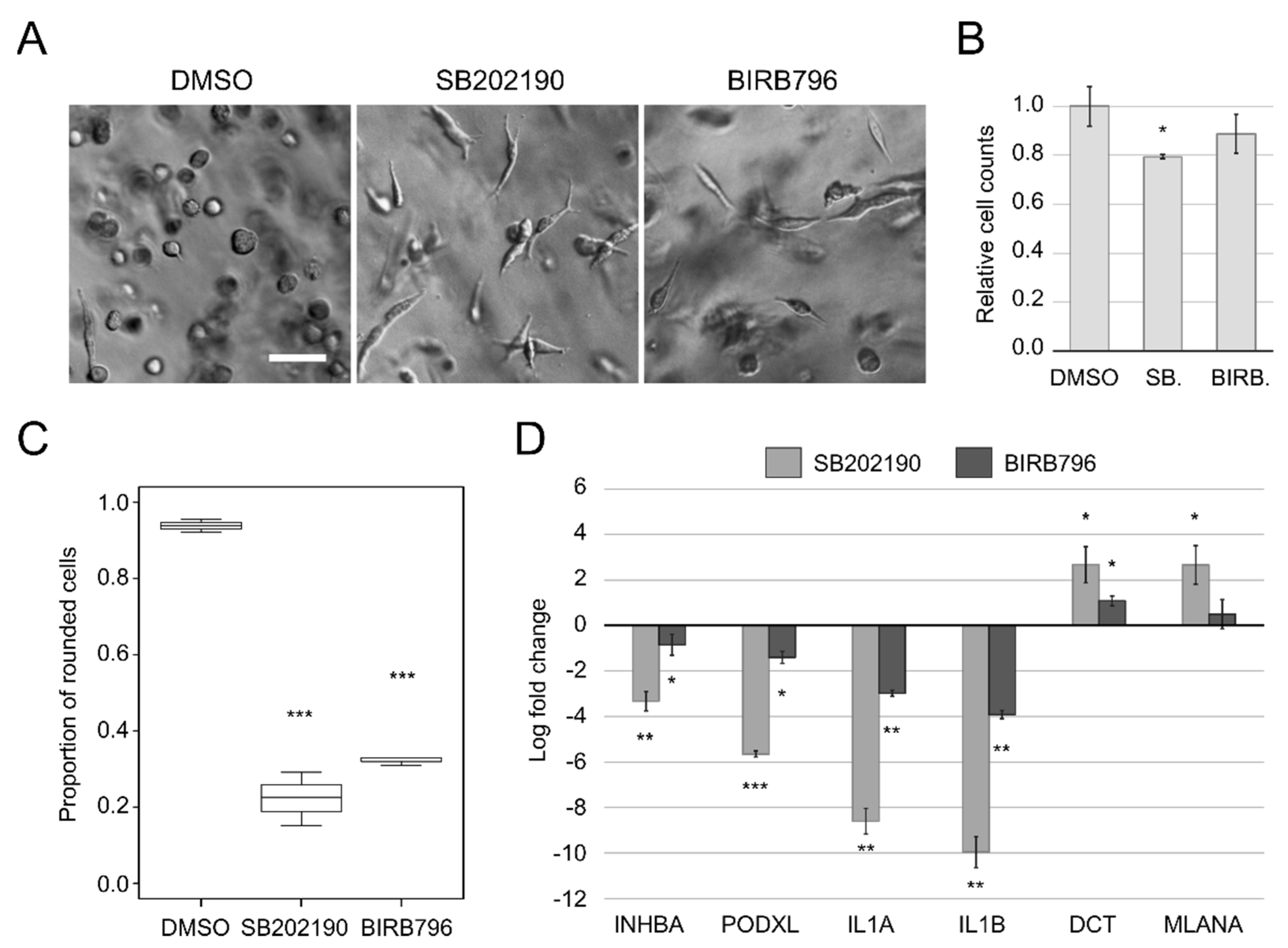 Biomolecules 11 00449 g002 Biomolecules 11 00449 g002