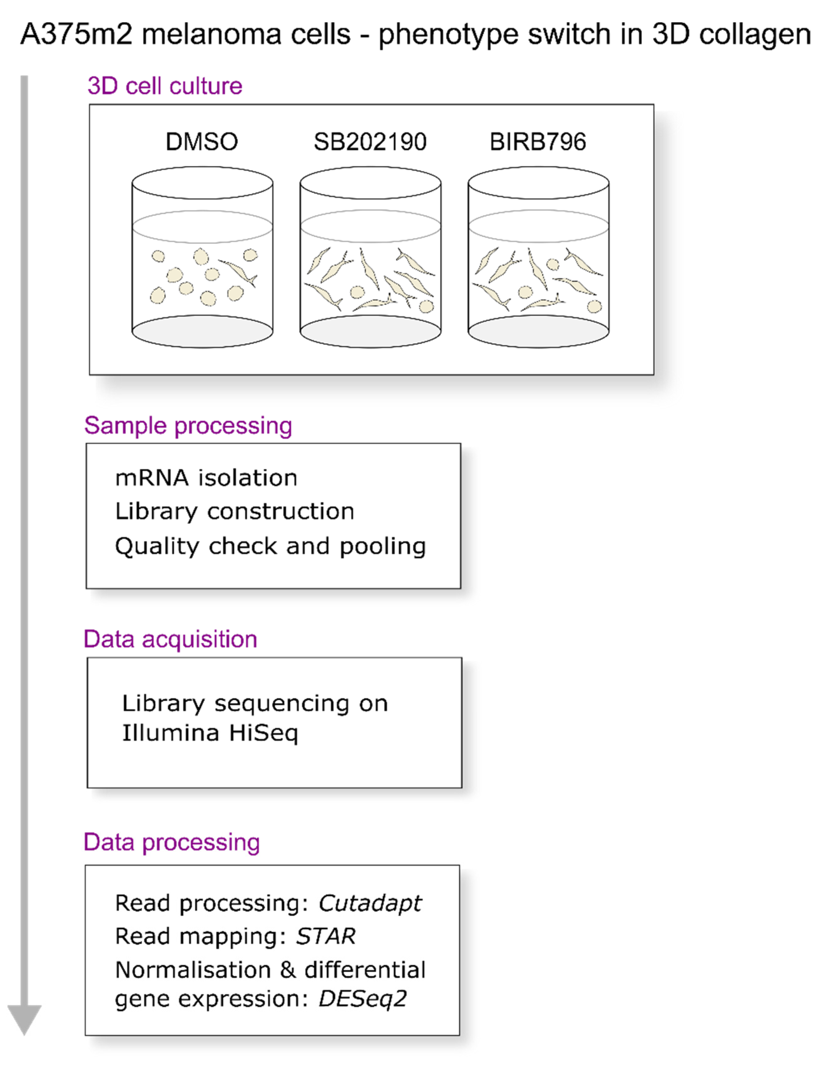 Biomolecules 11 00449 g003 Biomolecules 11 00449 g003