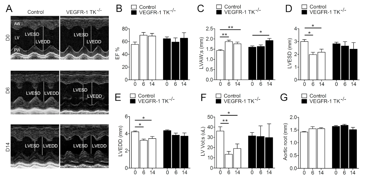 Biomolecules 11 00452 g001 Biomolecules 11 00452 g001
