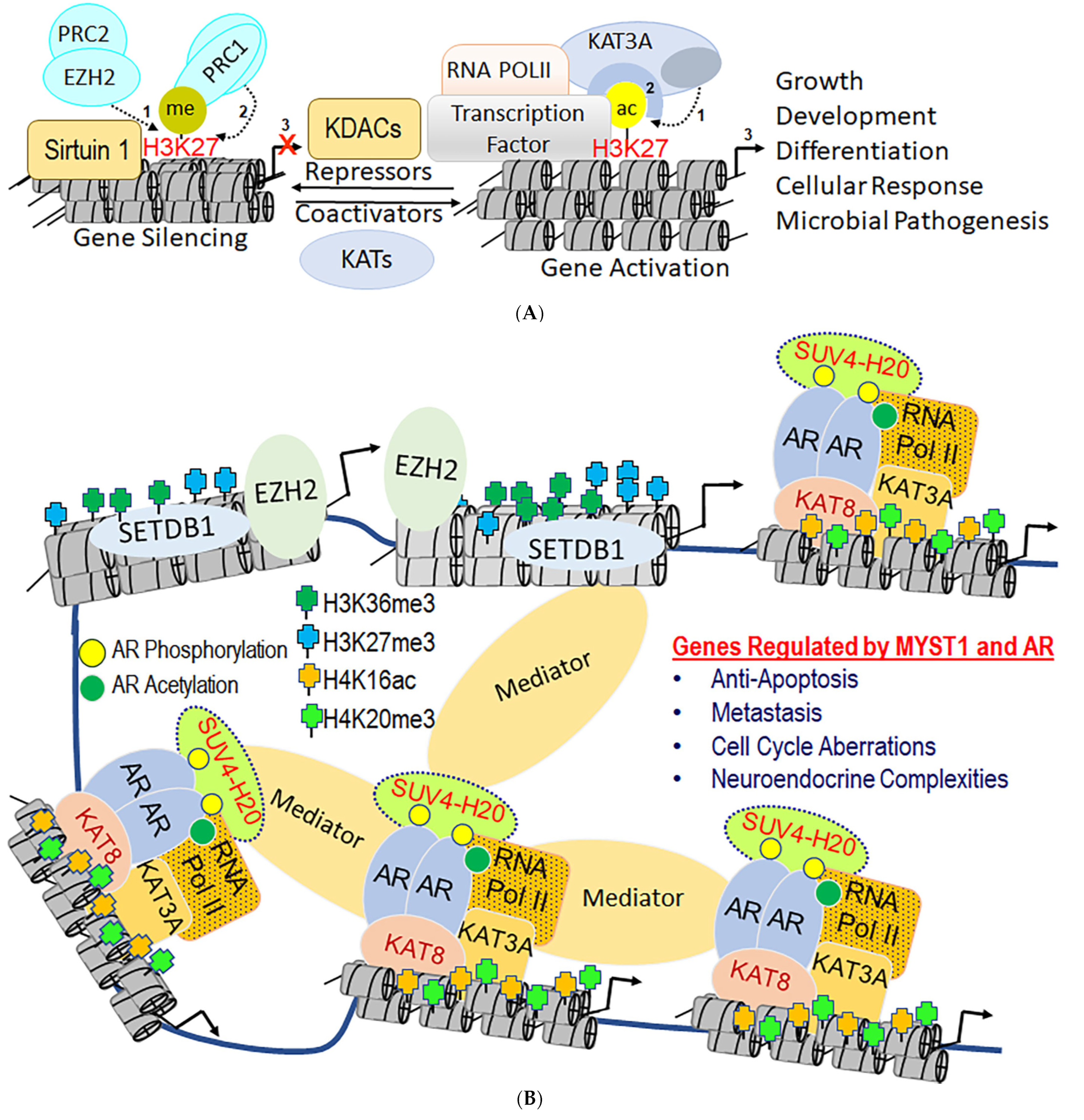 Biomolecules 11 00455 g001 Biomolecules 11 00455 g001