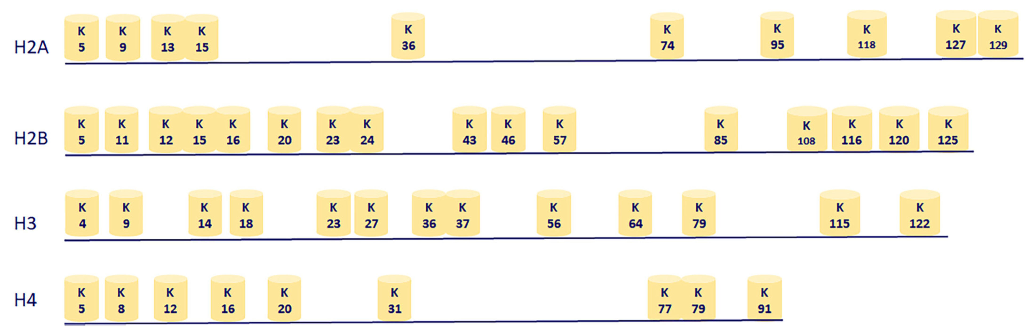 Biomolecules 11 00455 g004 Biomolecules 11 00455 g004
