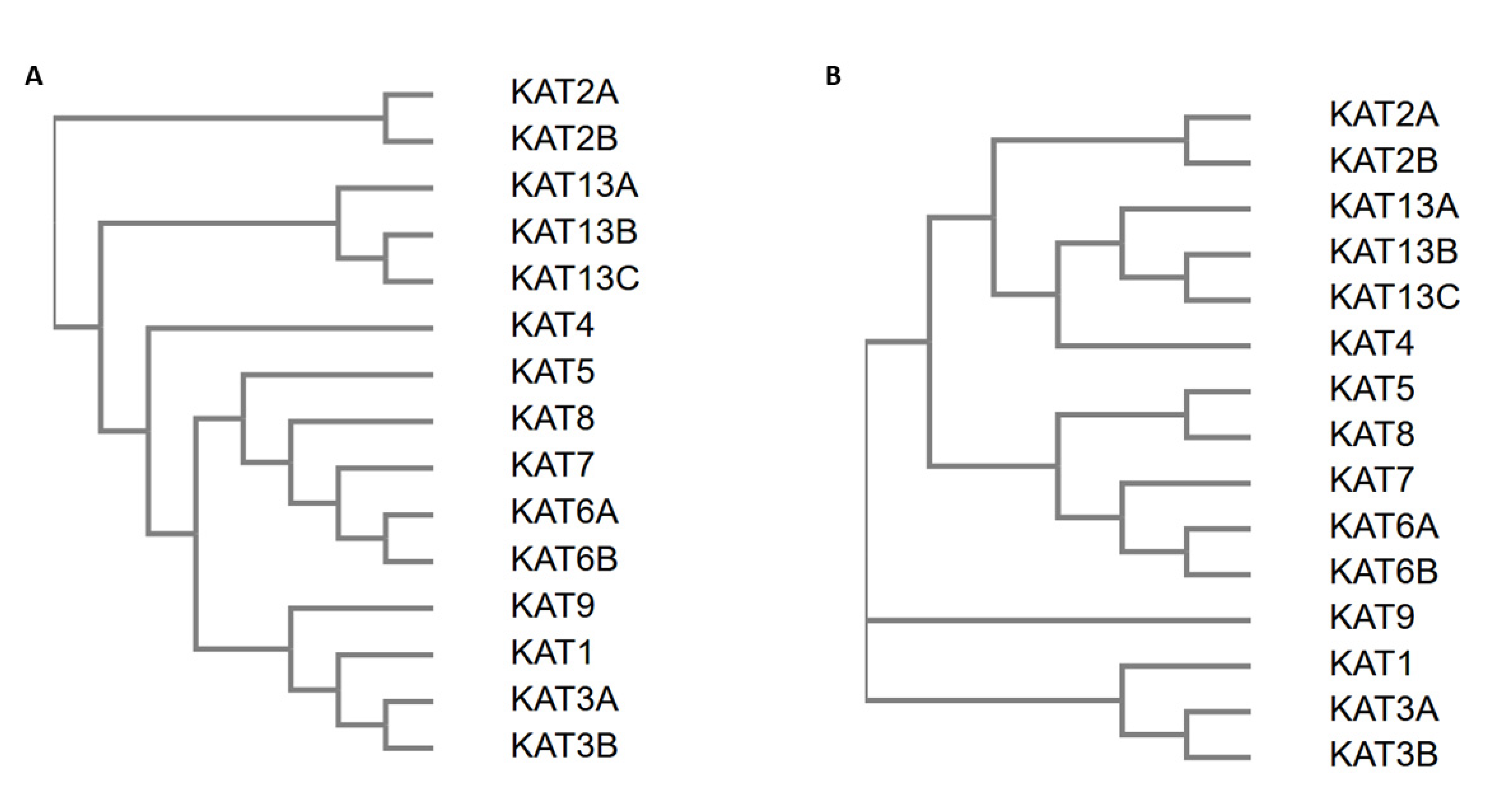 Biomolecules 11 00455 g006 Biomolecules 11 00455 g006