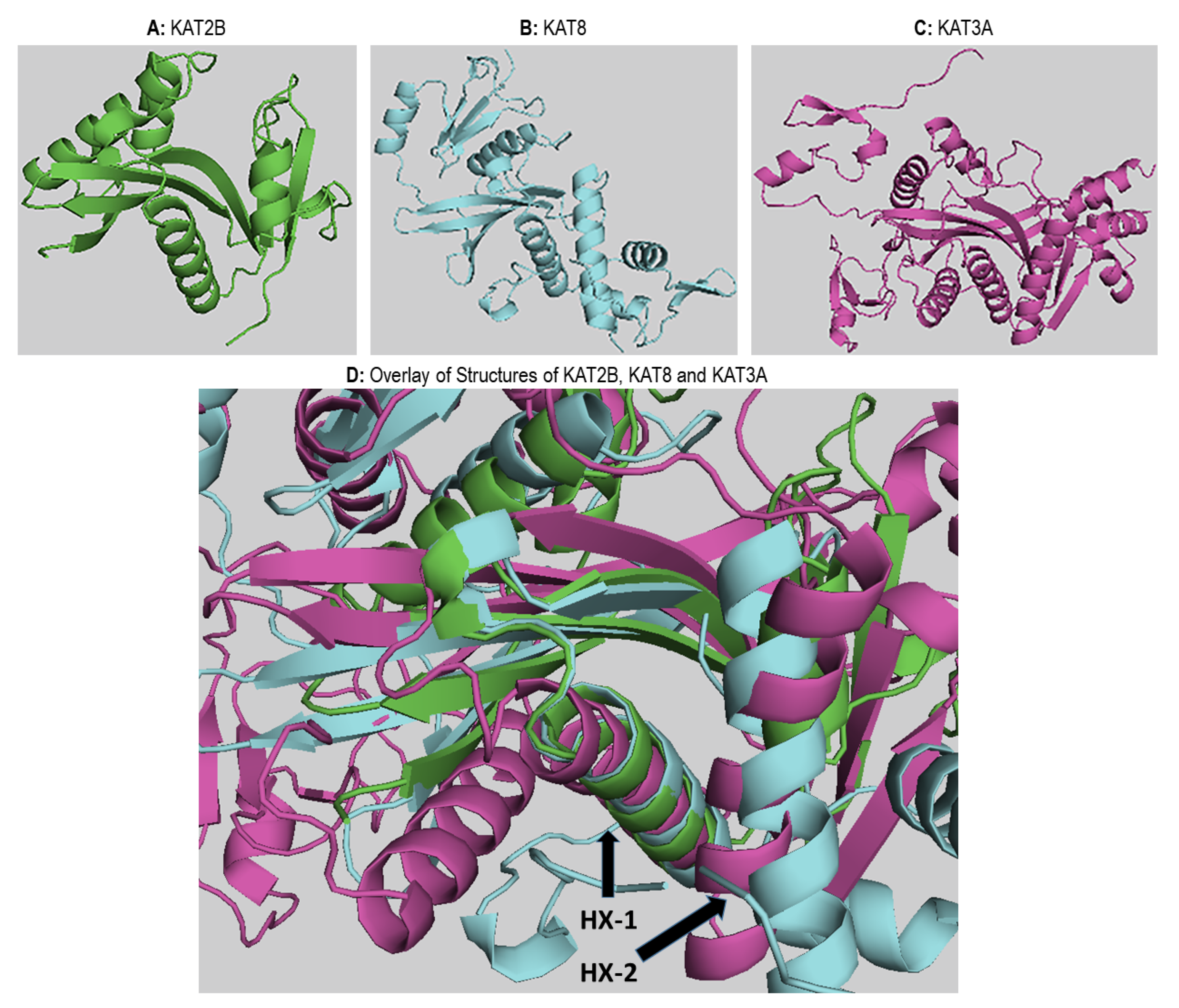 Biomolecules 11 00455 g007 Biomolecules 11 00455 g007
