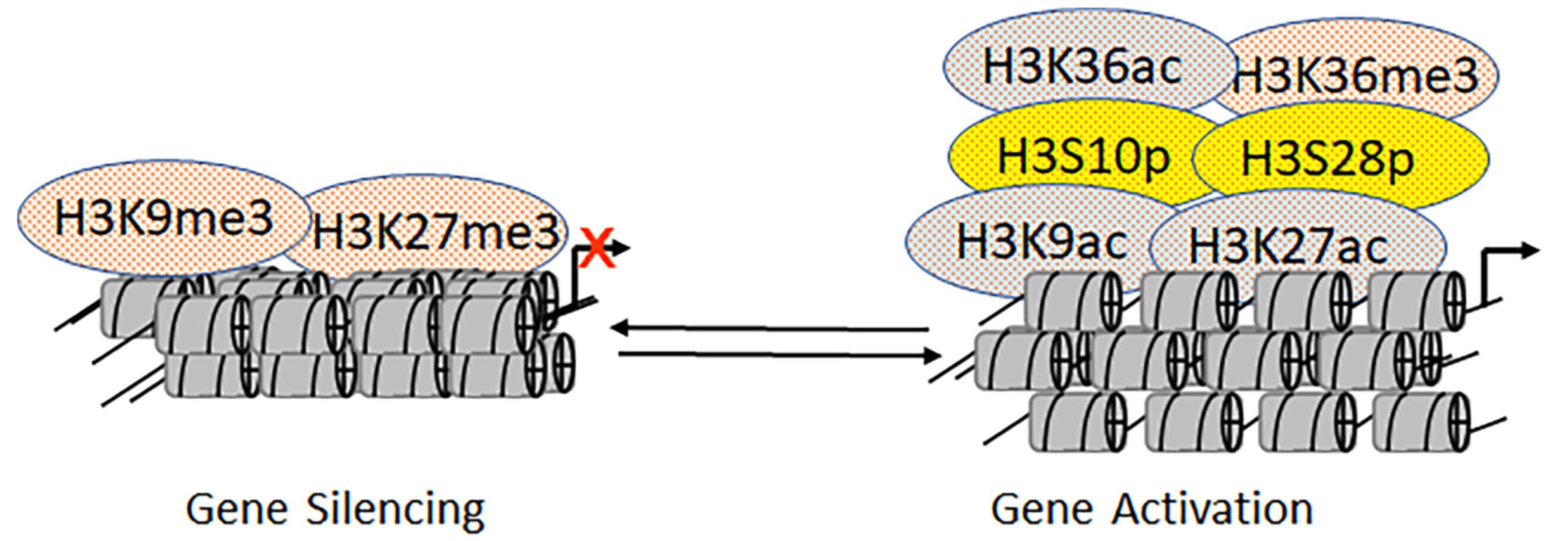 Biomolecules 11 00455 g008 Biomolecules 11 00455 g008