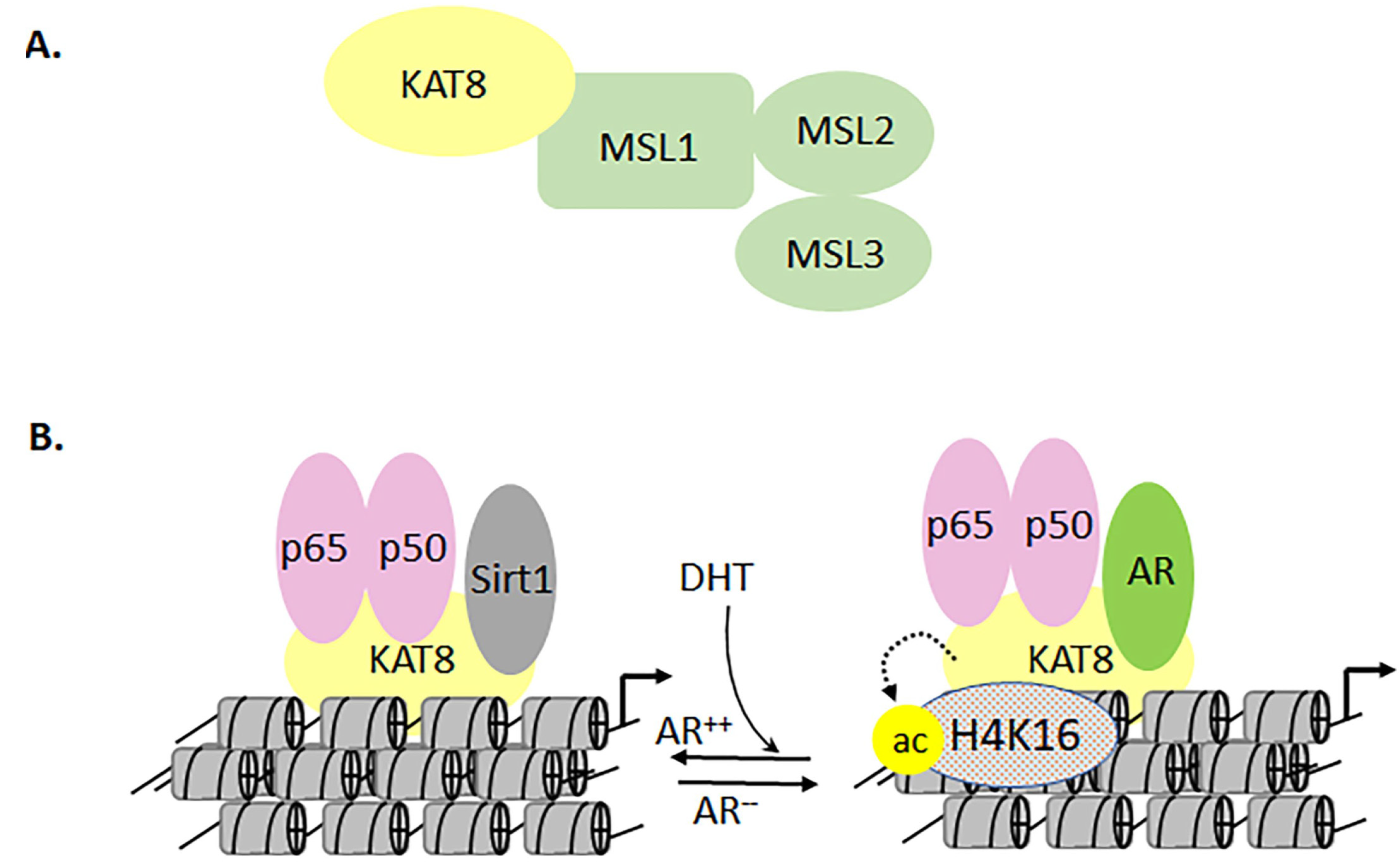 Biomolecules 11 00455 g013 Biomolecules 11 00455 g013