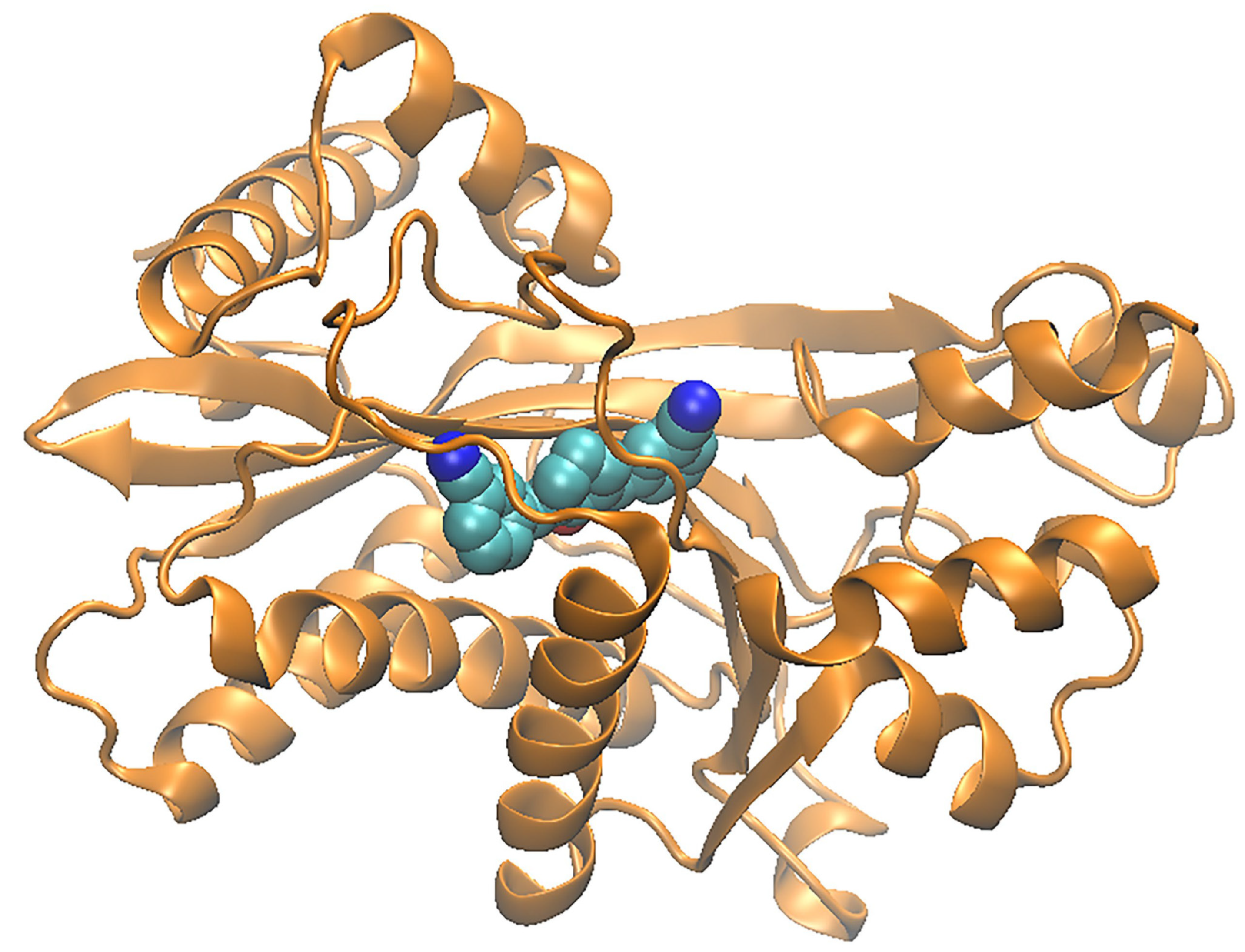 Biomolecules 11 00455 g017 Biomolecules 11 00455 g017