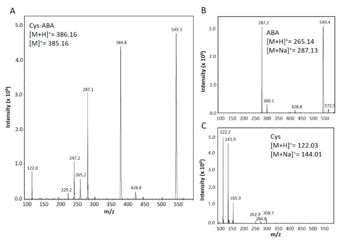 Biomolecules 11 00457 g002