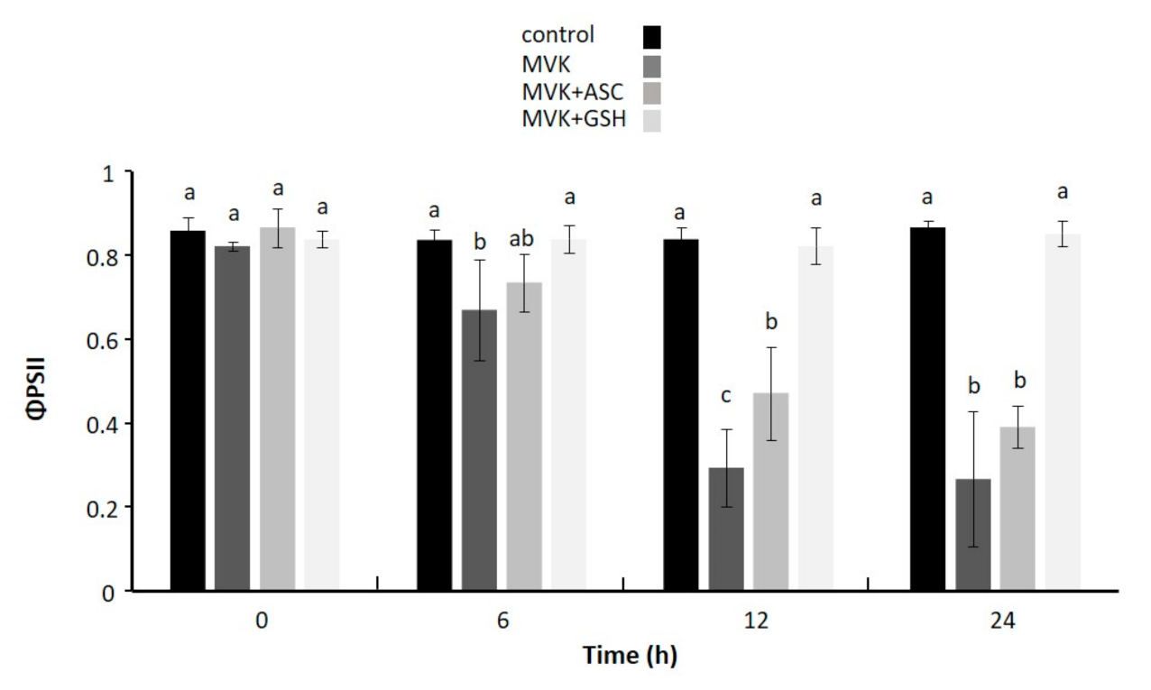 Biomolecules 11 00457 g003