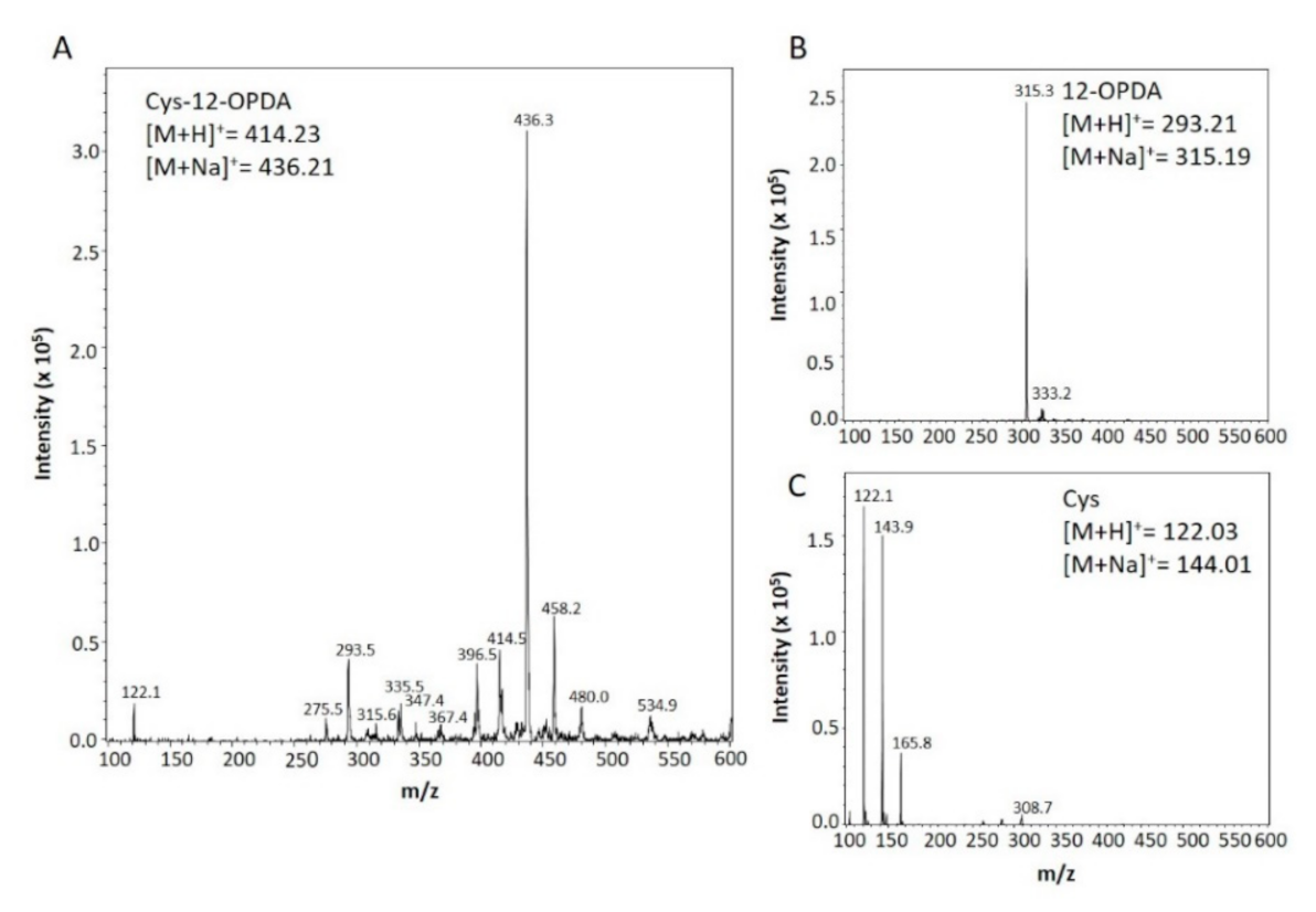 Biomolecules 11 00457 g004