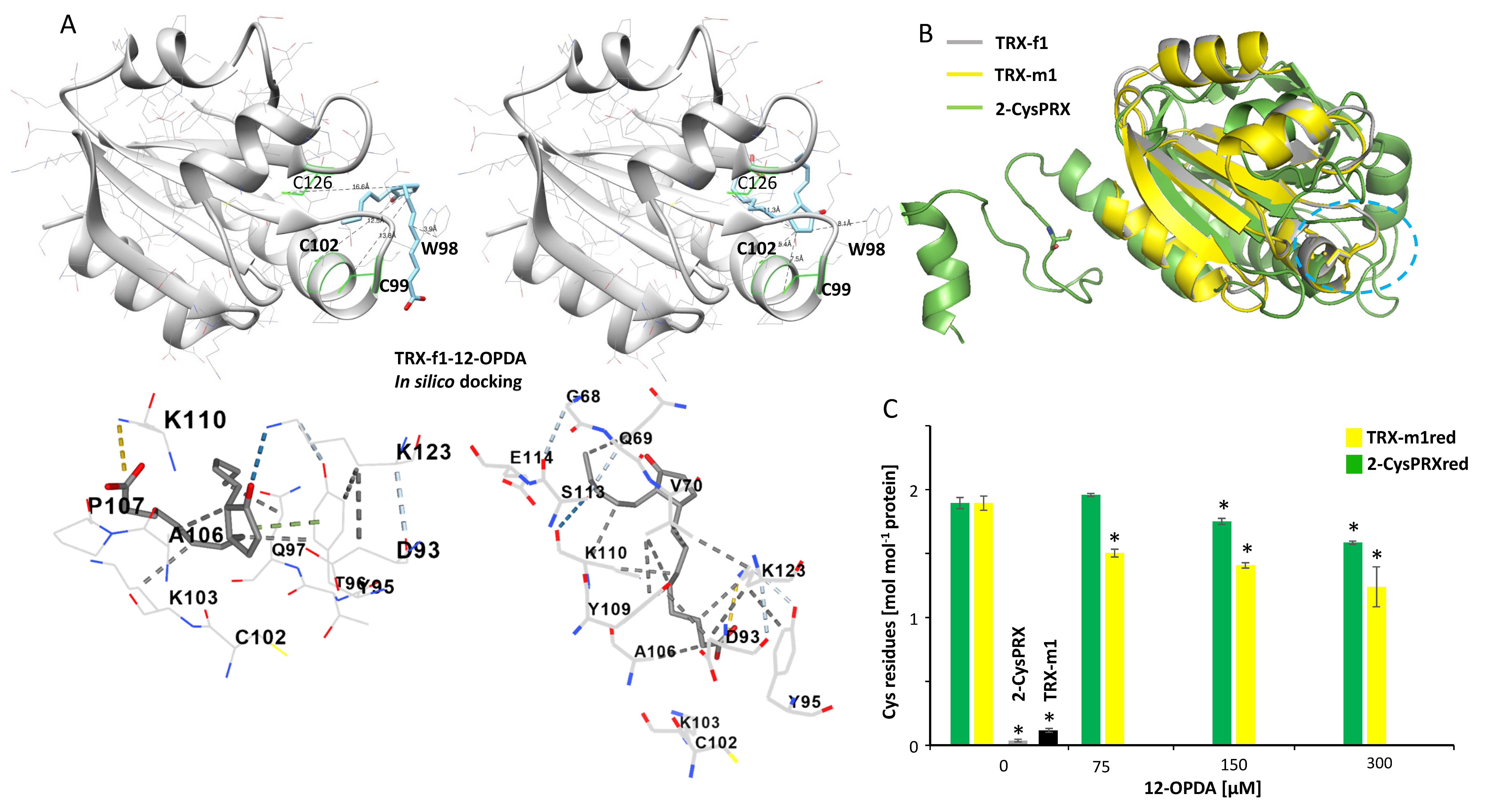 Biomolecules 11 00457 g006