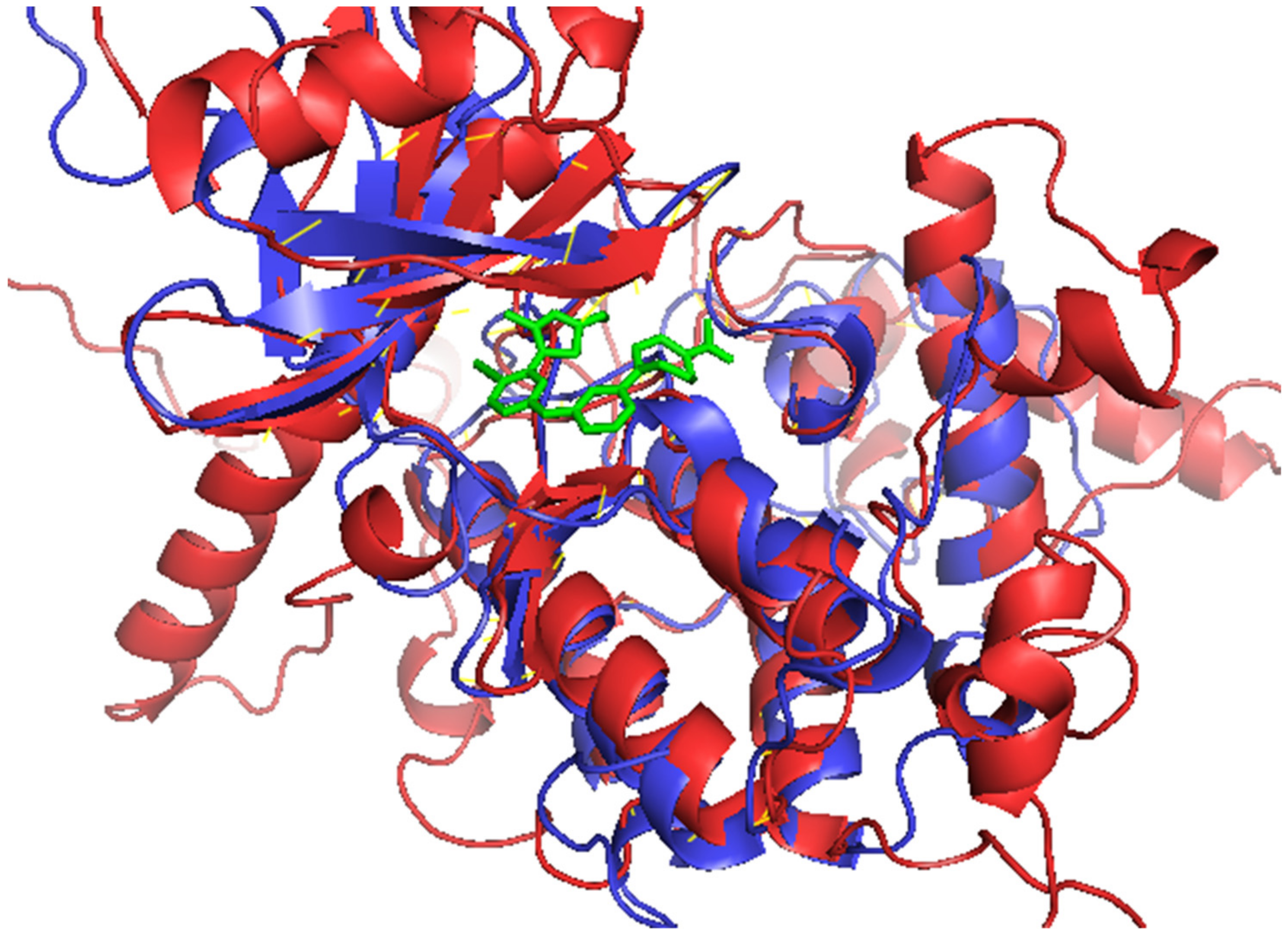 Biomolecules 11 00458 g005 Biomolecules 11 00458 g005
