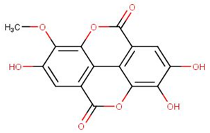 Biomolecules 11 00458 i002 Biomolecules 11 00458 i002