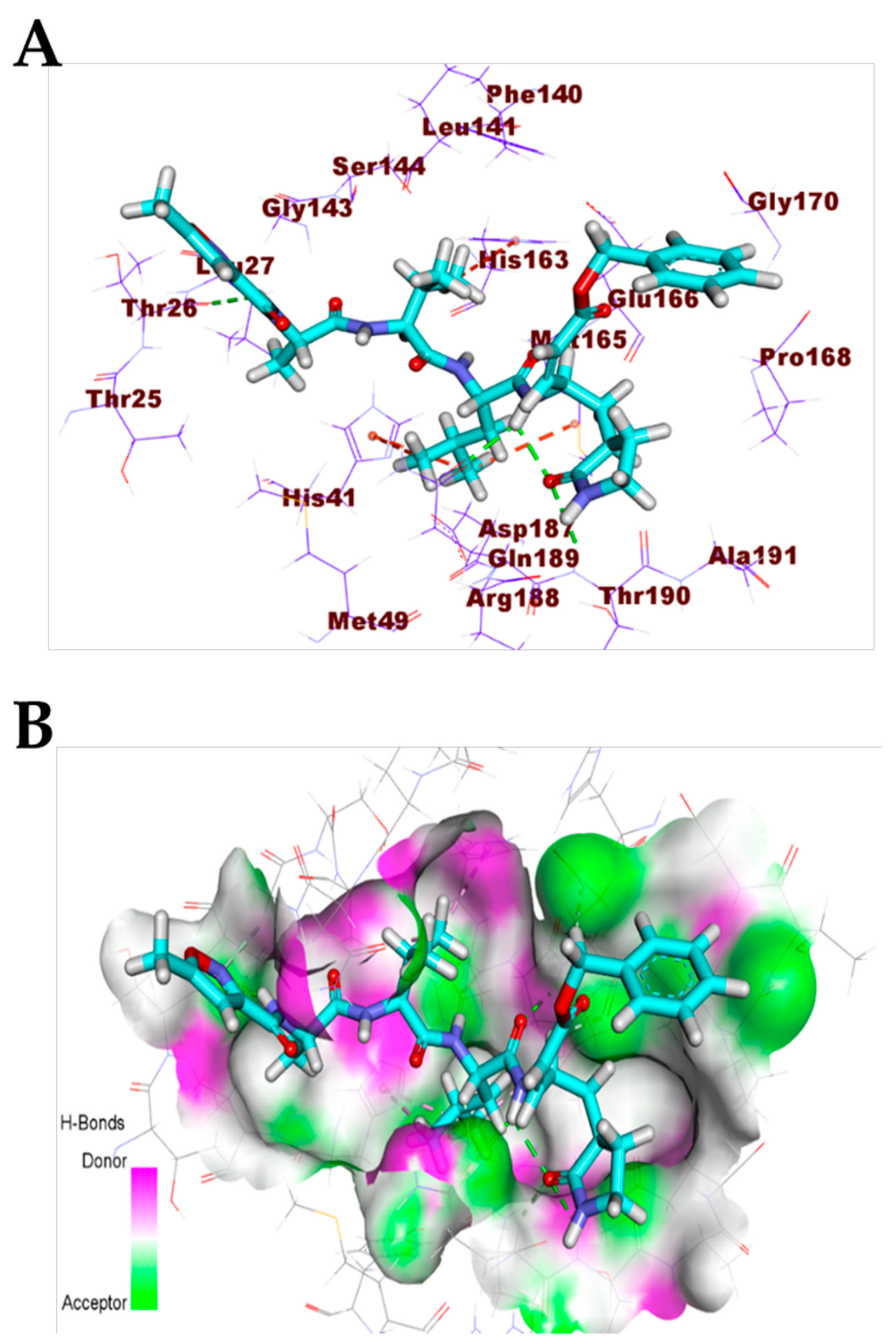 Biomolecules 11 00460 g003 Biomolecules 11 00460 g003