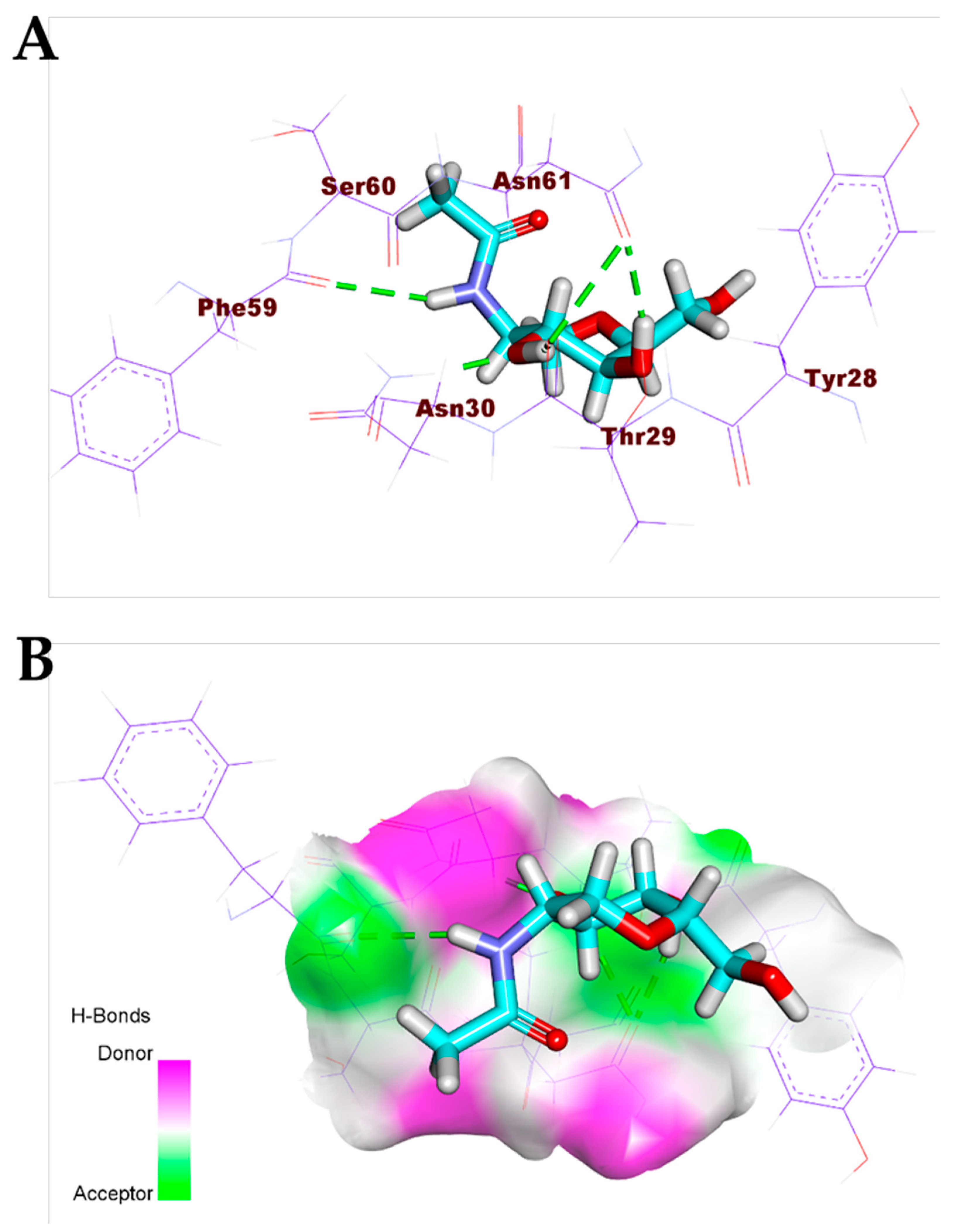Biomolecules 11 00460 g004 Biomolecules 11 00460 g004
