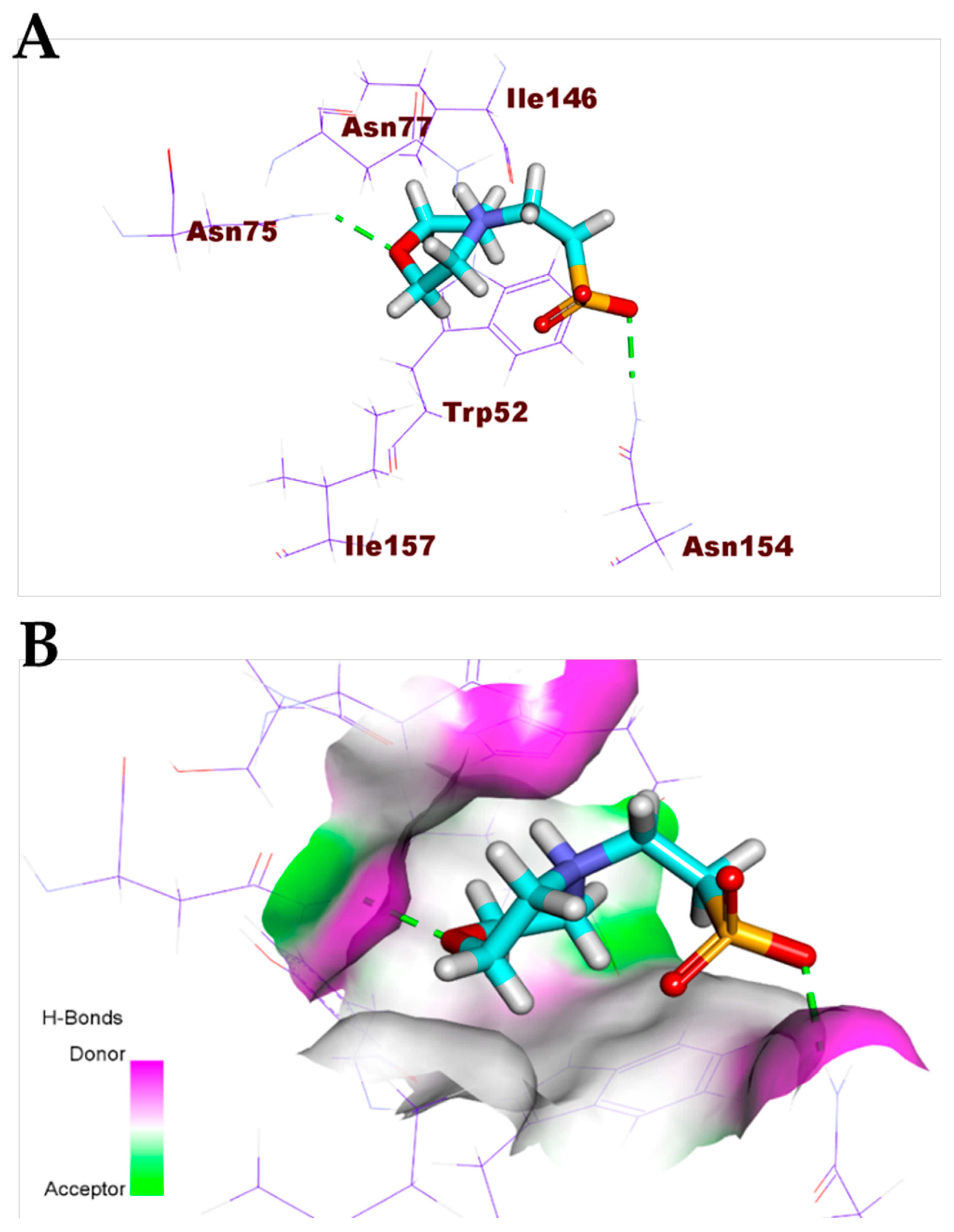 Biomolecules 11 00460 g005 Biomolecules 11 00460 g005