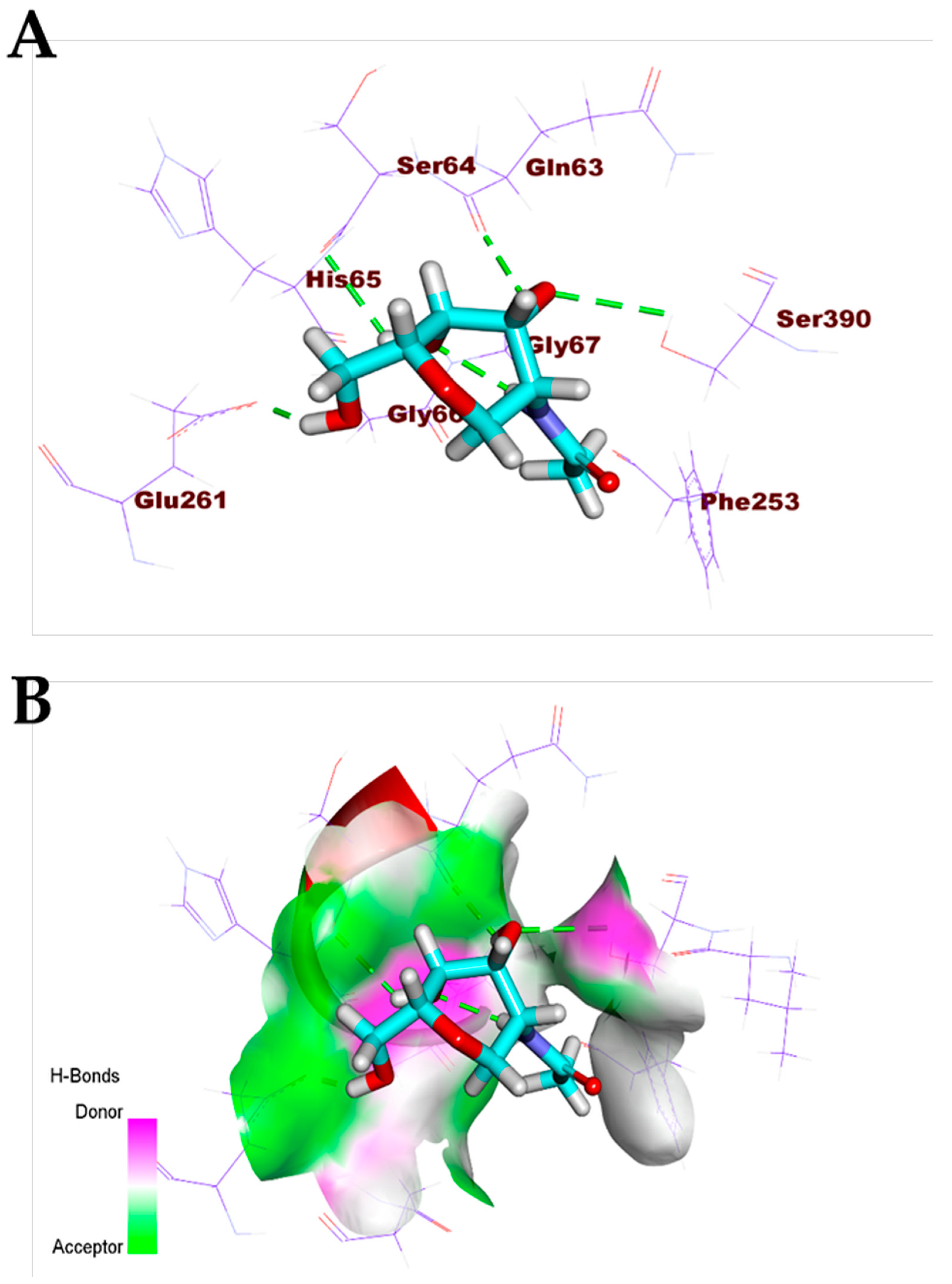 Biomolecules 11 00460 g006 Biomolecules 11 00460 g006