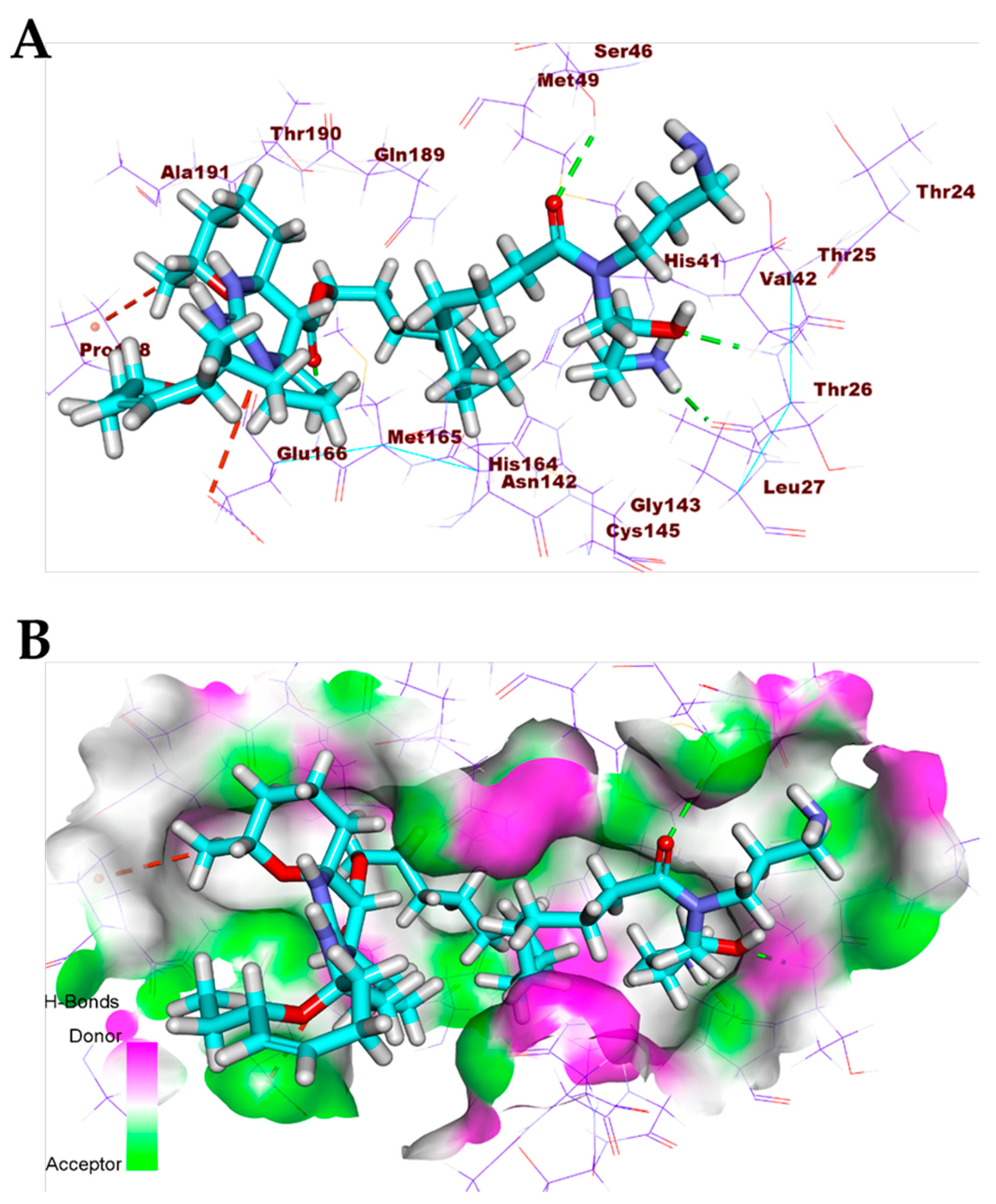 Biomolecules 11 00460 g008 Biomolecules 11 00460 g008