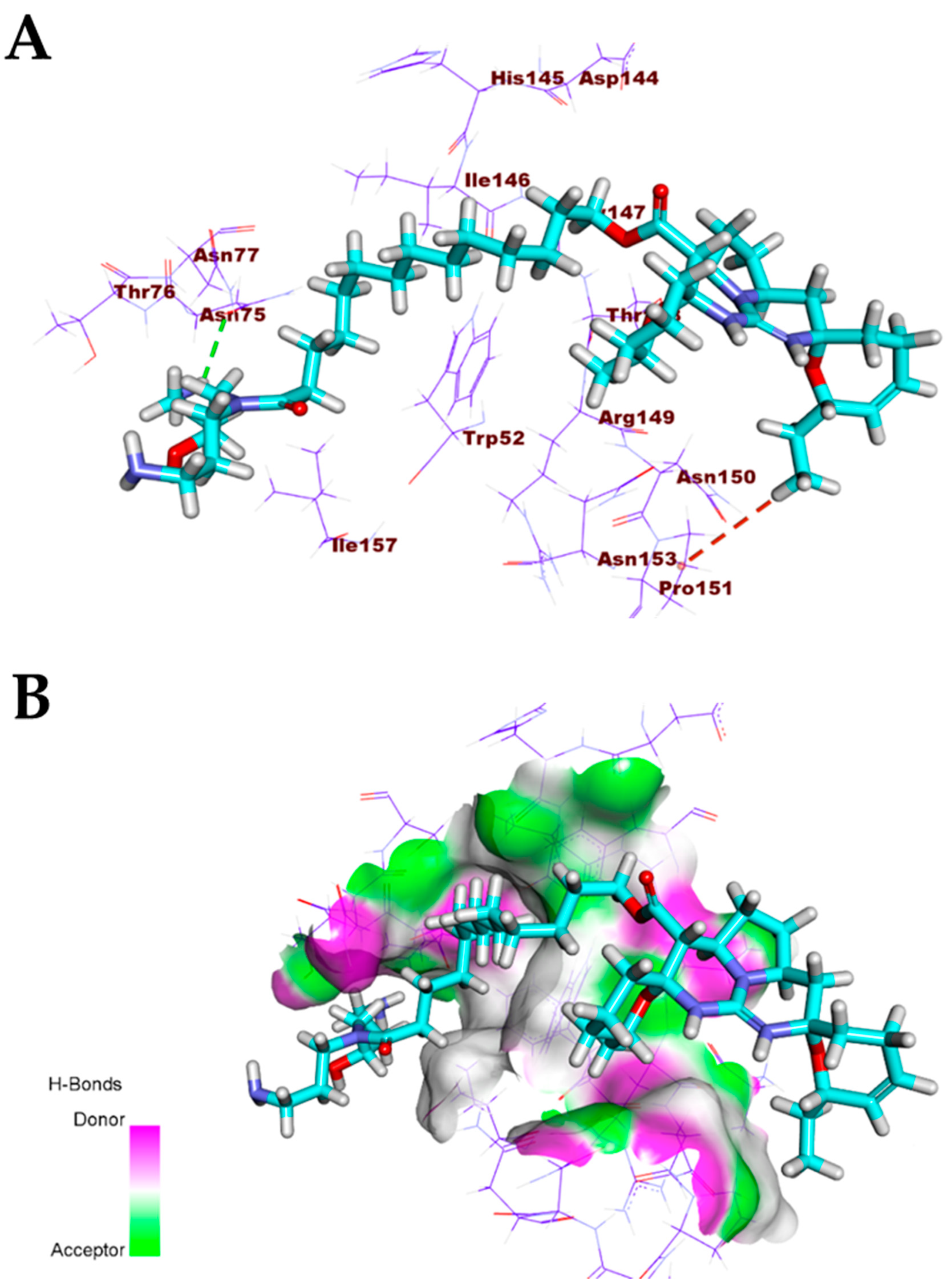 Biomolecules 11 00460 g009 Biomolecules 11 00460 g009