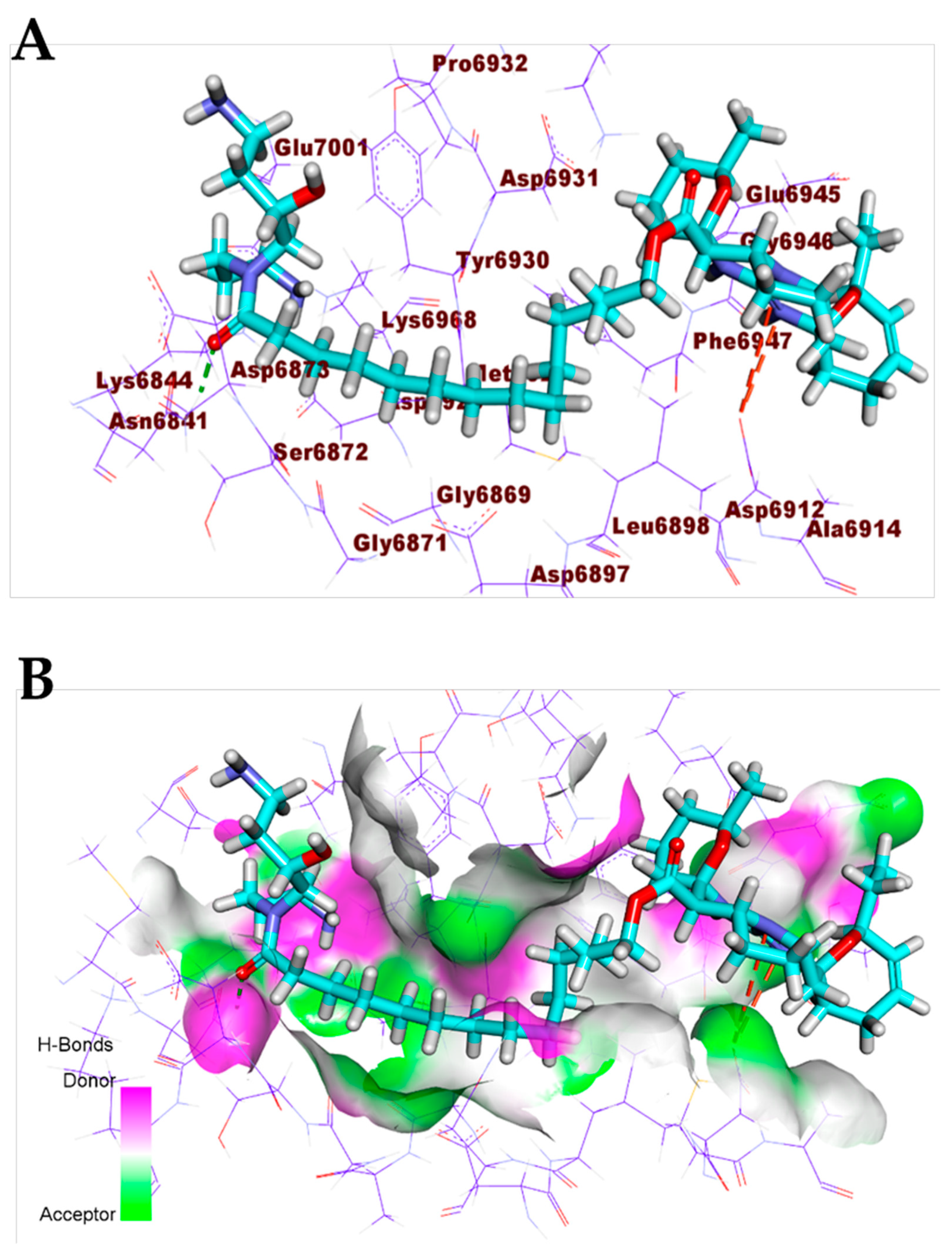 Biomolecules 11 00460 g010 Biomolecules 11 00460 g010