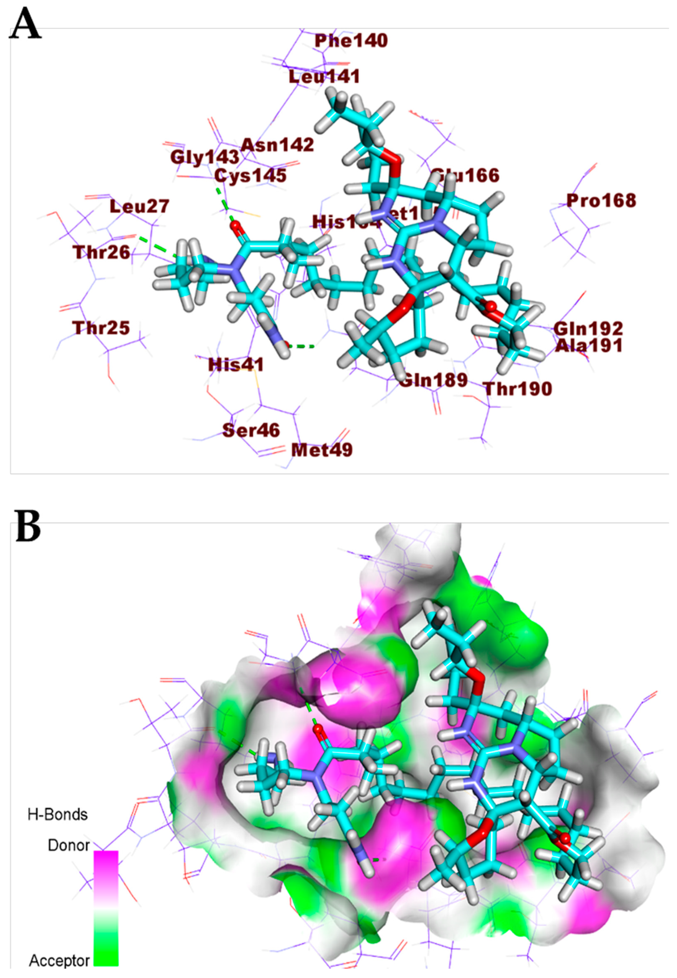 Biomolecules 11 00460 g011 Biomolecules 11 00460 g011