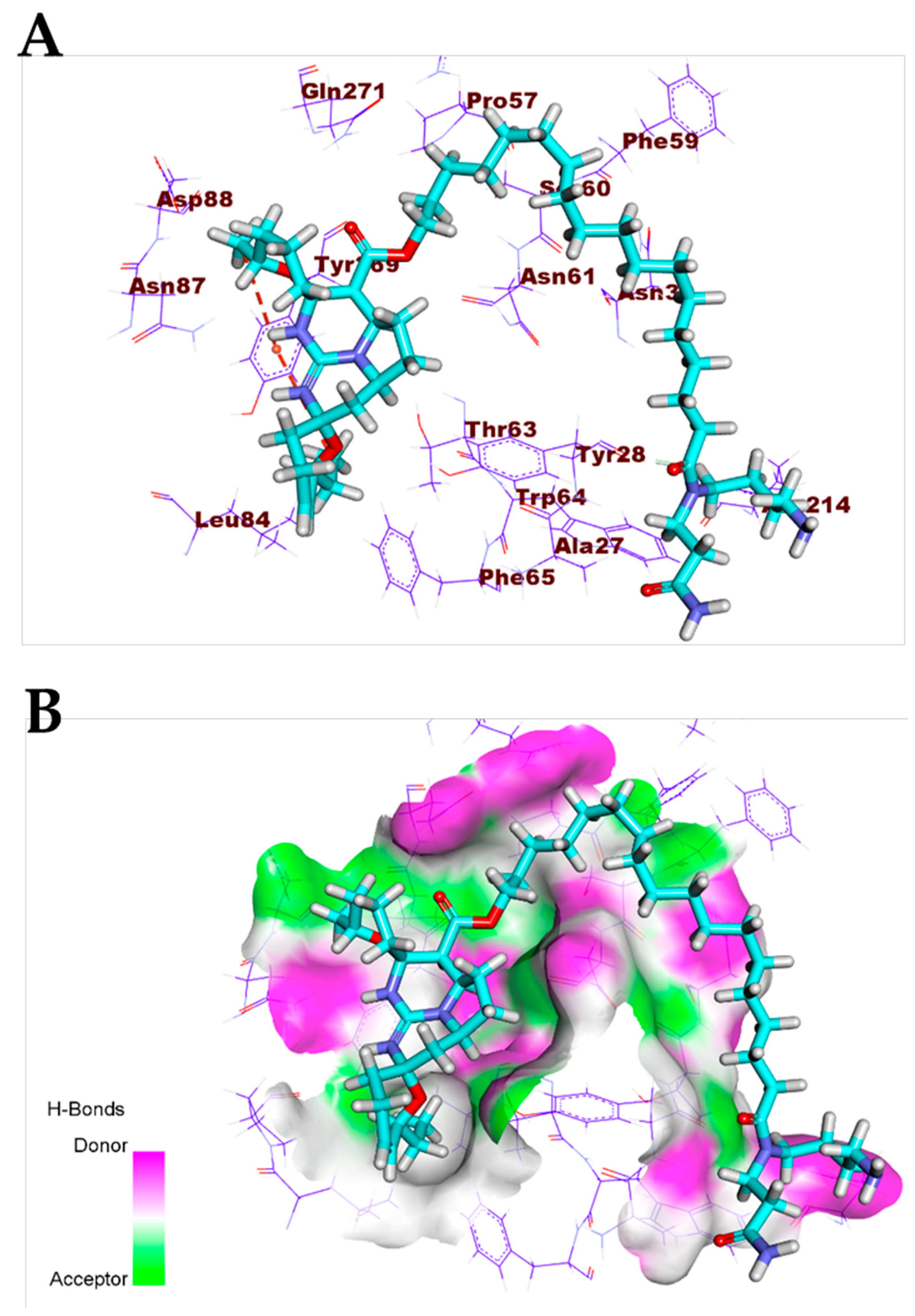 Biomolecules 11 00460 g012 Biomolecules 11 00460 g012