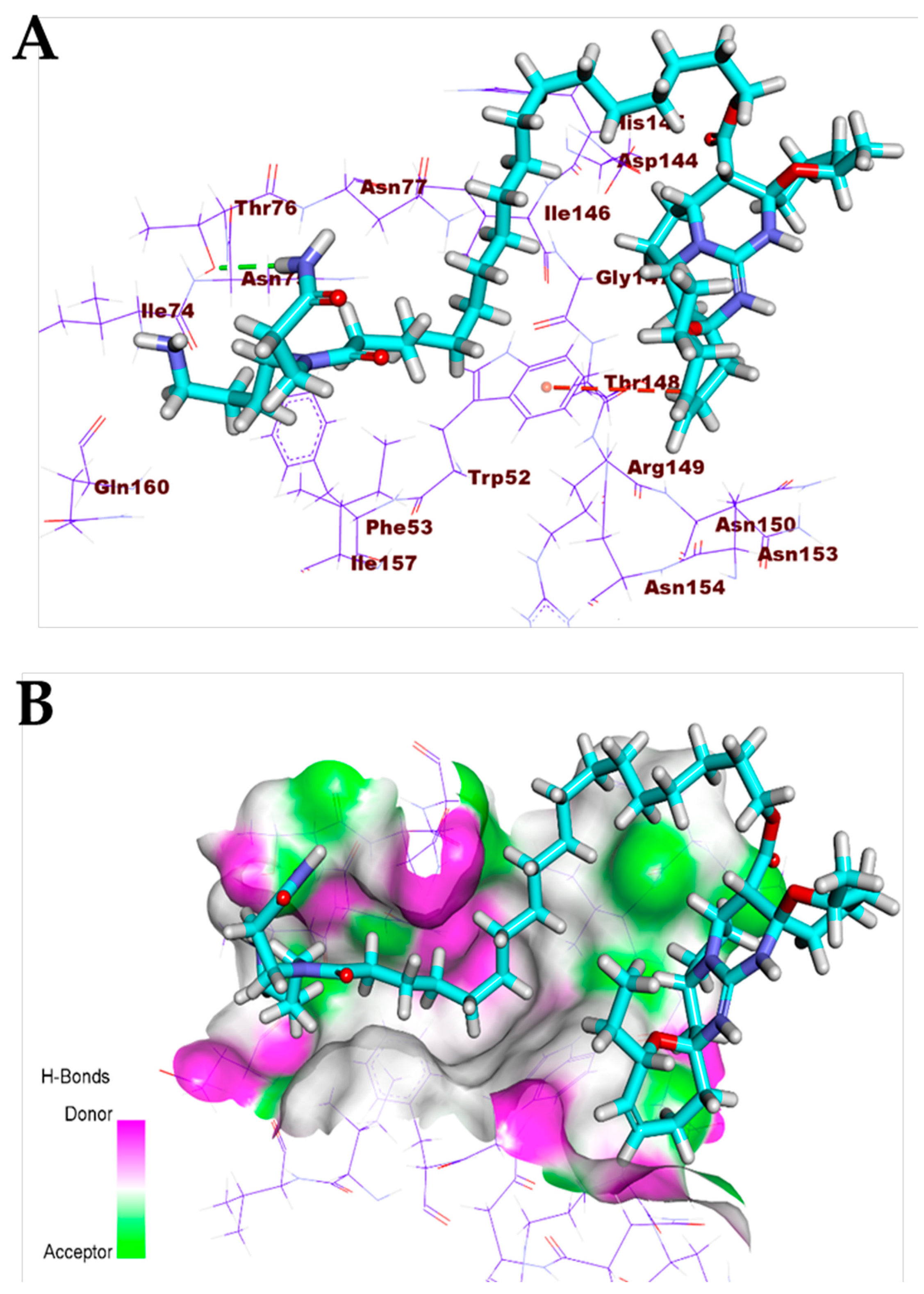 Biomolecules 11 00460 g013 Biomolecules 11 00460 g013