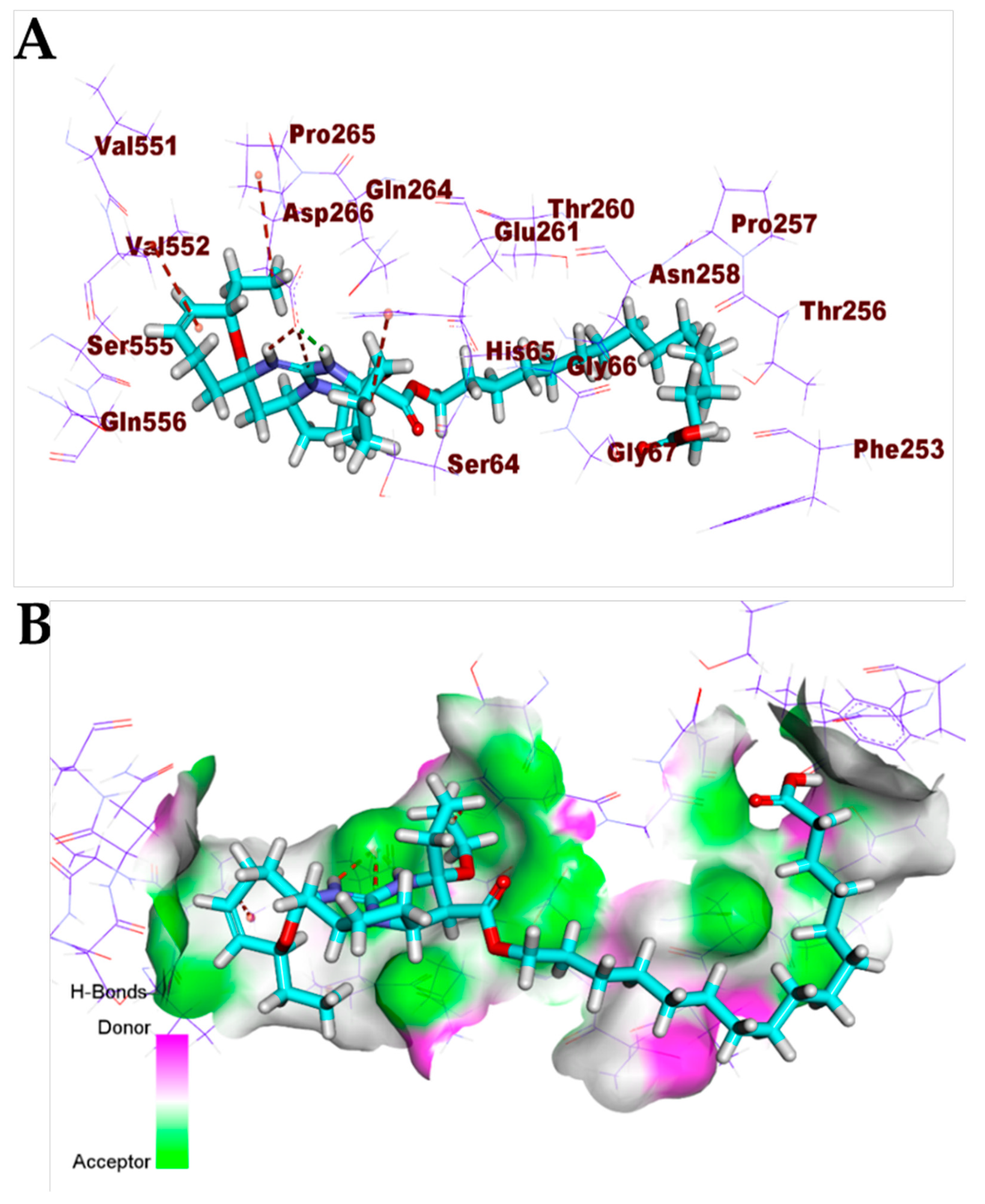Biomolecules 11 00460 g014 Biomolecules 11 00460 g014