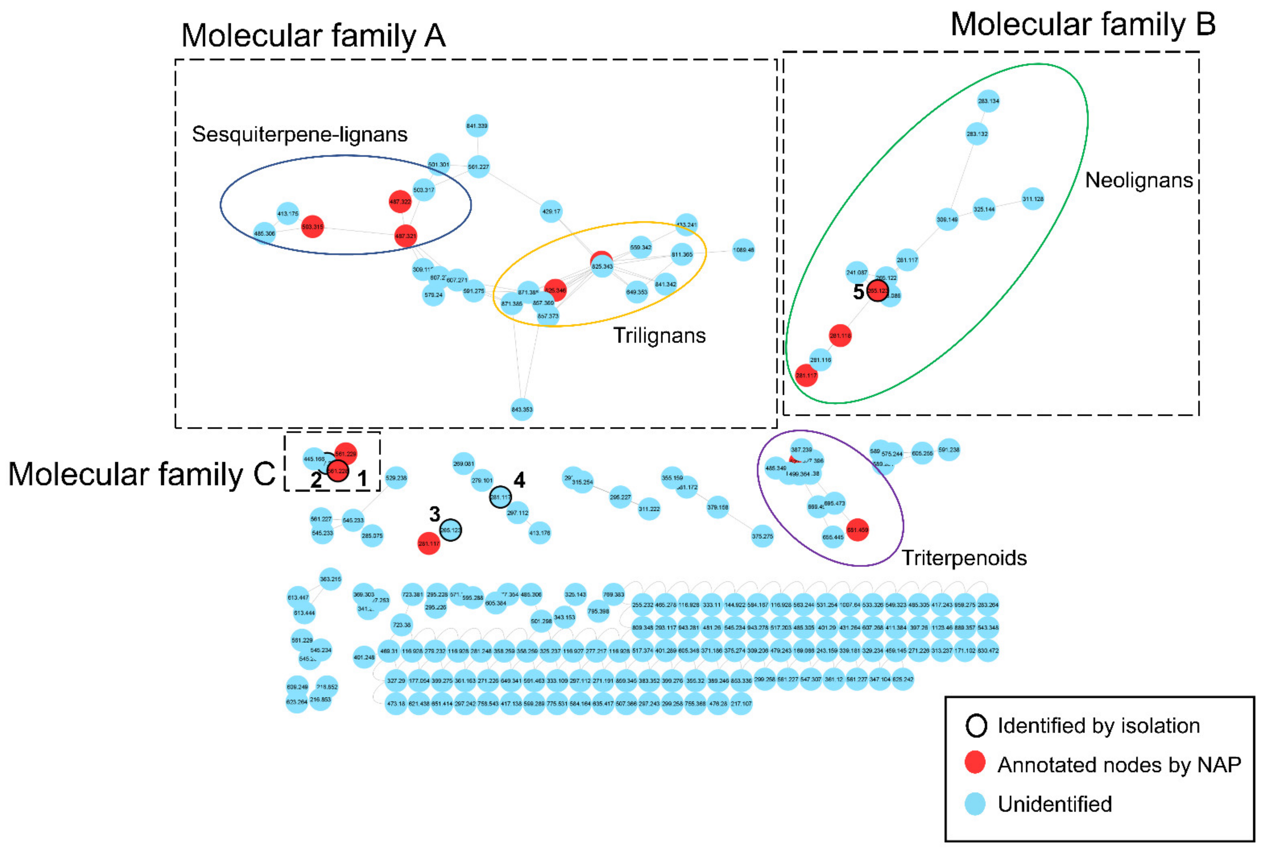 Biomolecules 11 00463 g001