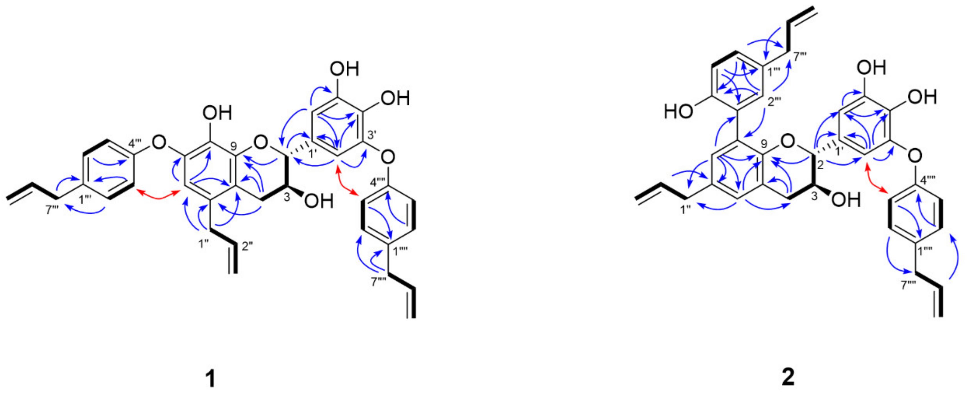 Biomolecules 11 00463 g003