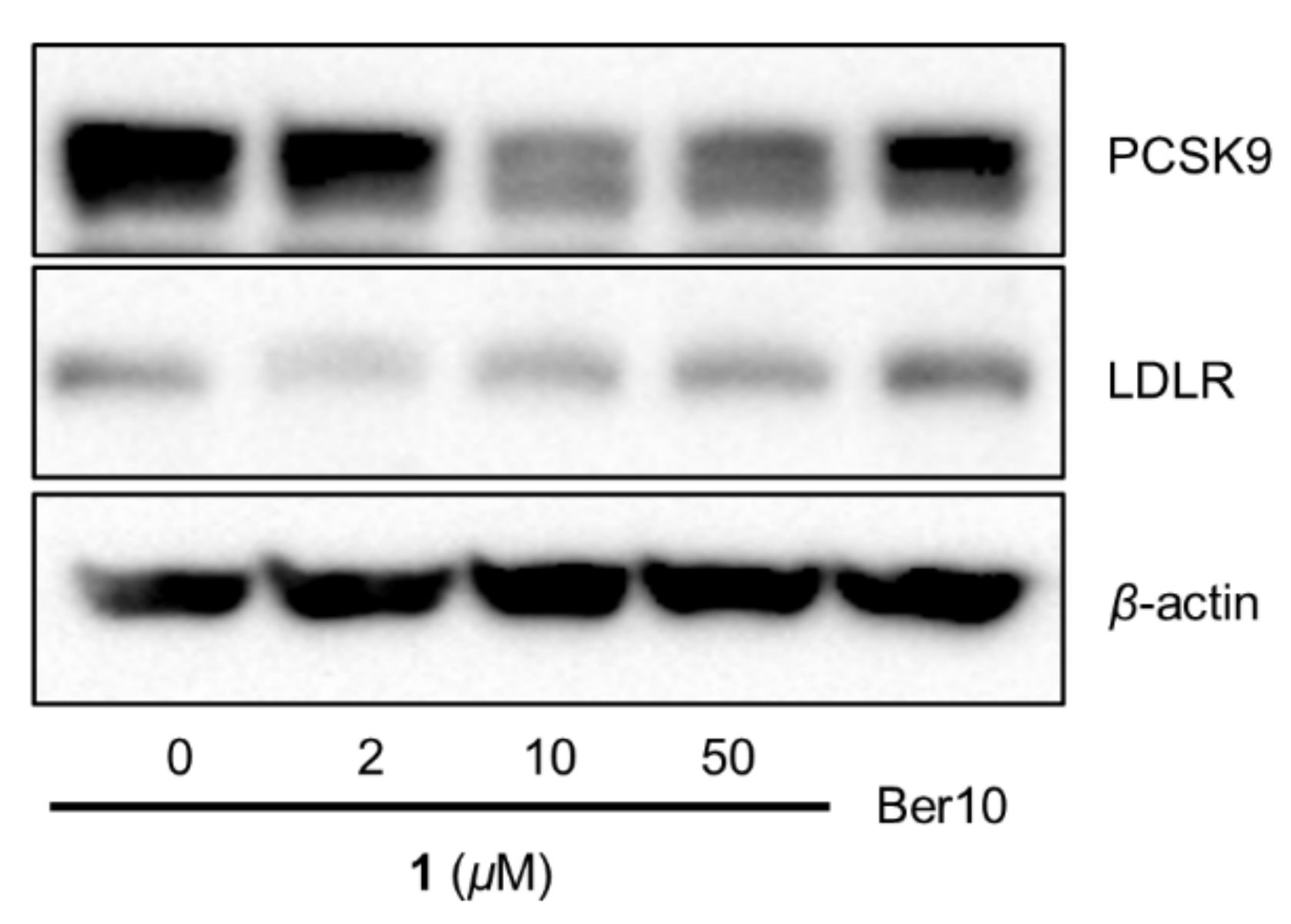 Biomolecules 11 00463 g006