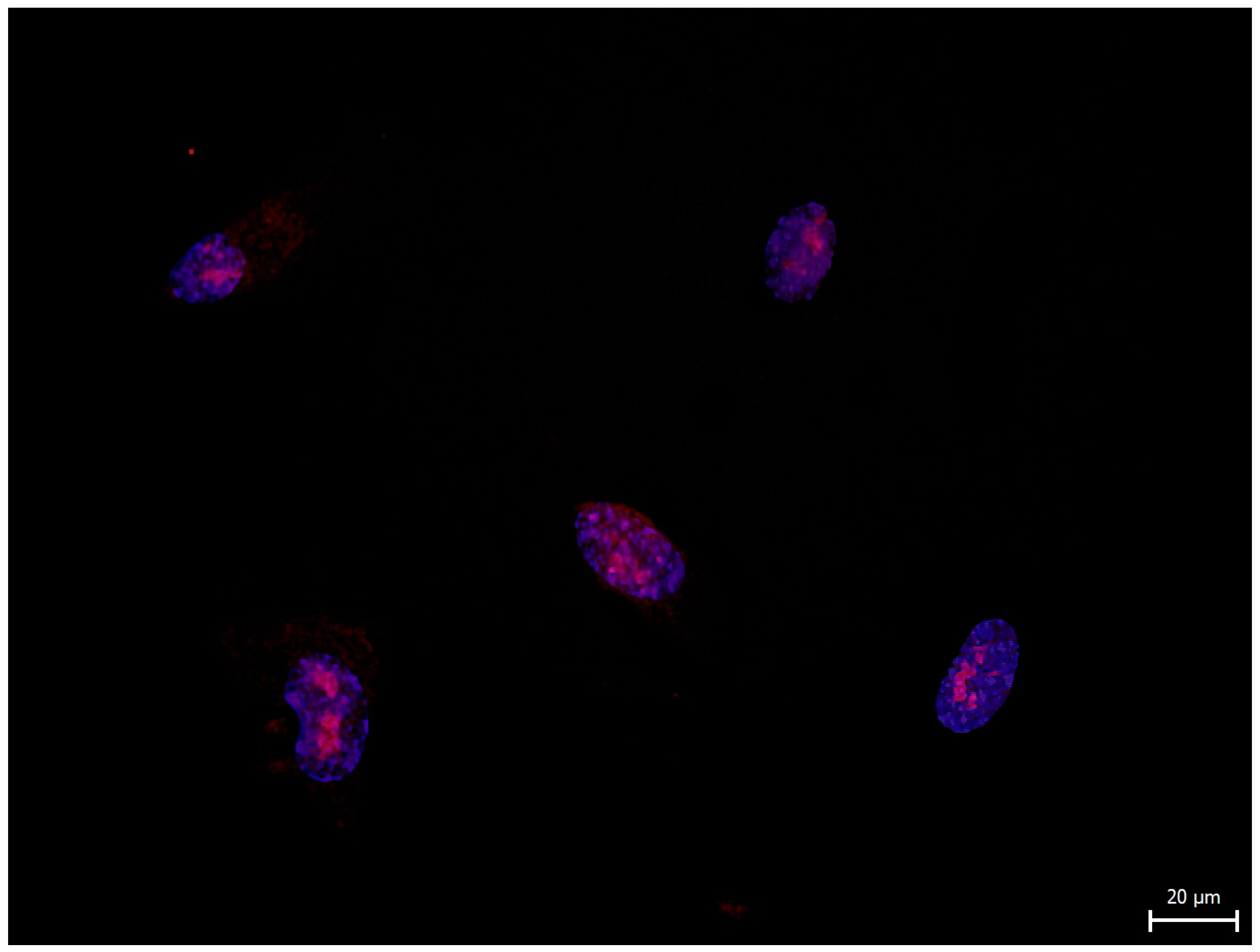Biomolecules 11 00464 g005