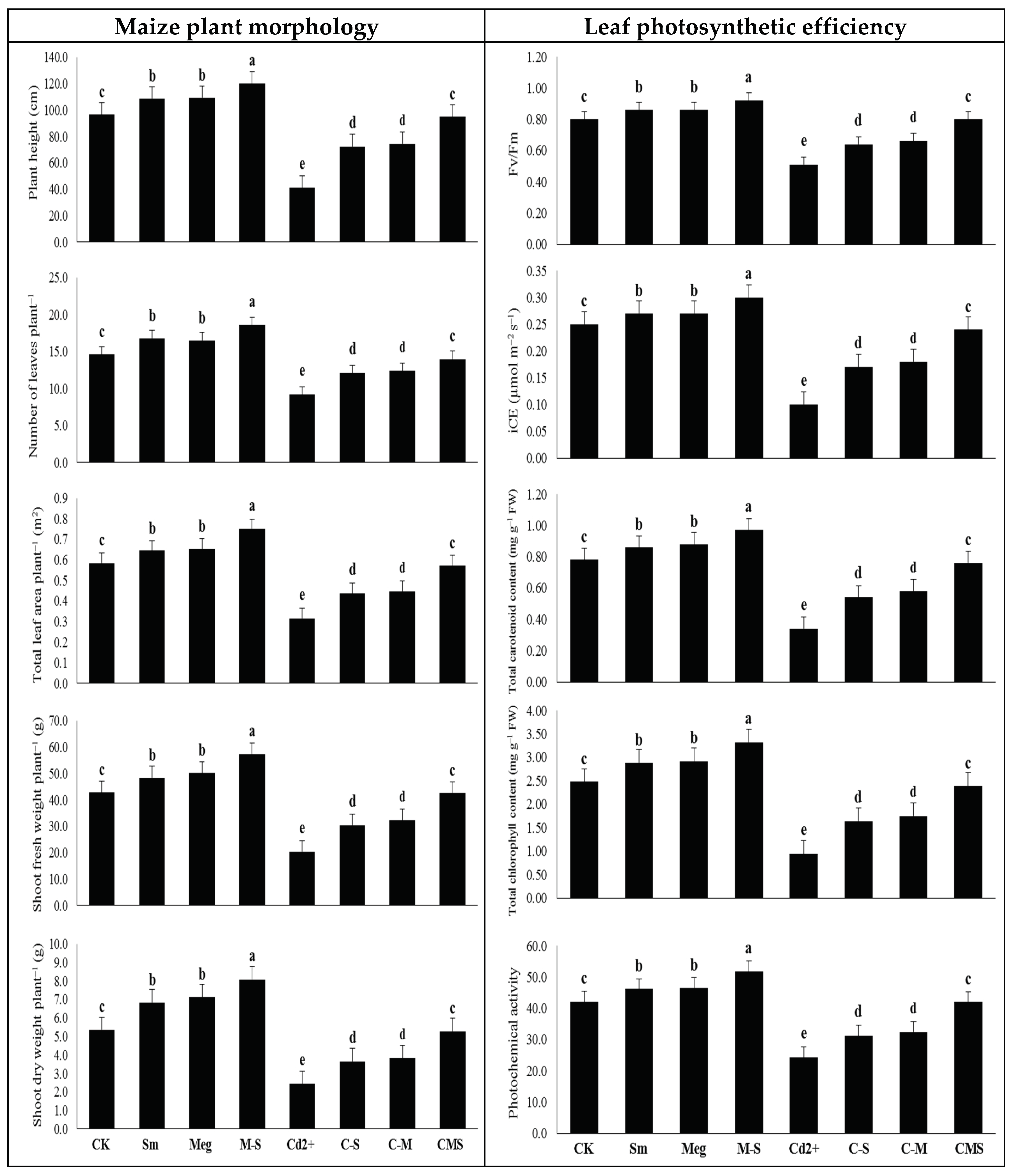 Biomolecules Free Full Text Silymarin Enriched Biostimulant Foliar Application Minimizes The Toxicity Of Cadmium In Maize By Suppressing Oxidative Stress And Elevating Antioxidant Gene Expression Html Biomolecules Free Full Text Silymarin Enriched Biostimulant Foliar Application Minimizes The Toxicity Of Cadmium In Maize By Suppressing Oxidative Stress And Elevating Antioxidant Gene Expression Html