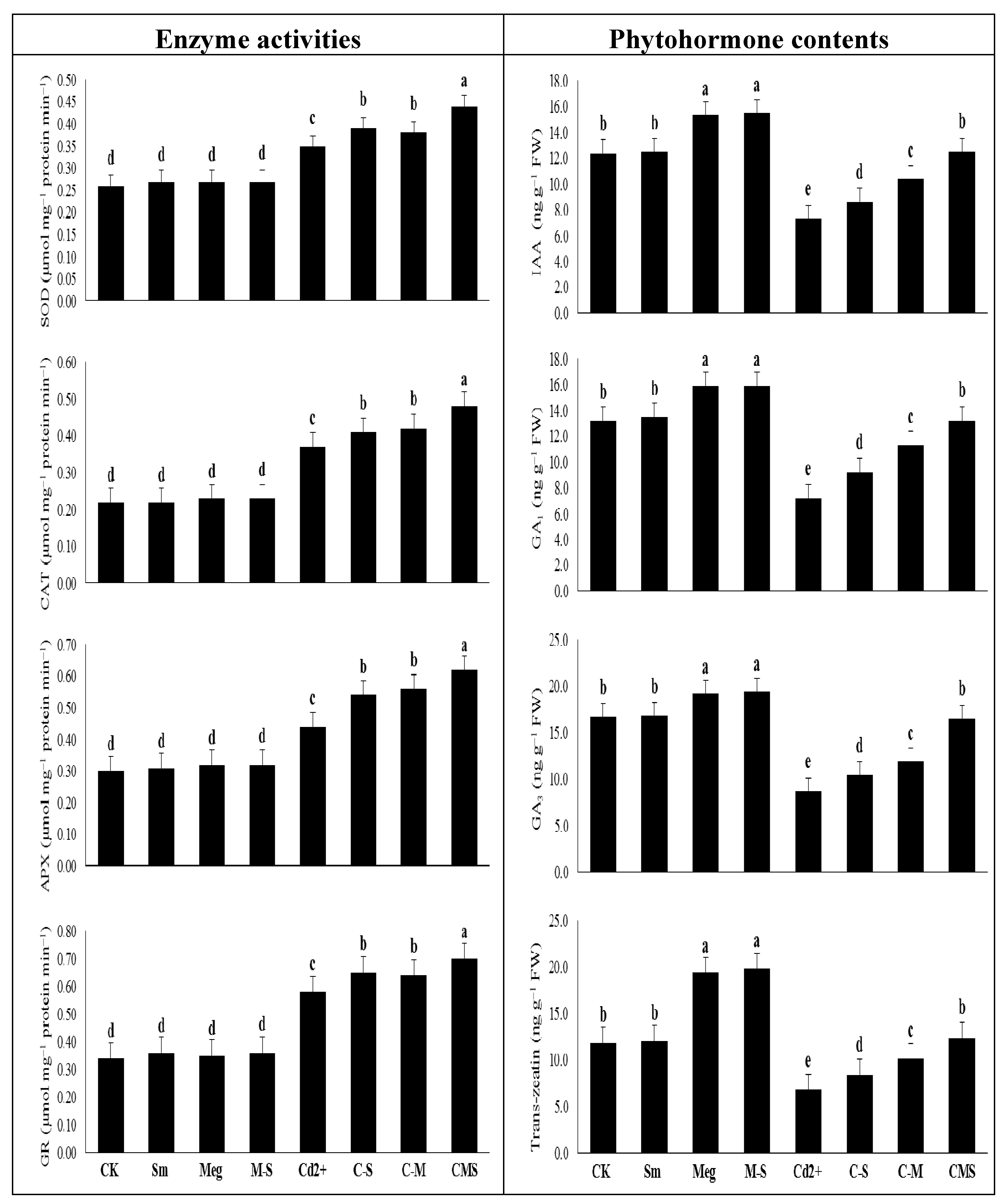 Biomolecules 11 00465 g004 Biomolecules 11 00465 g004