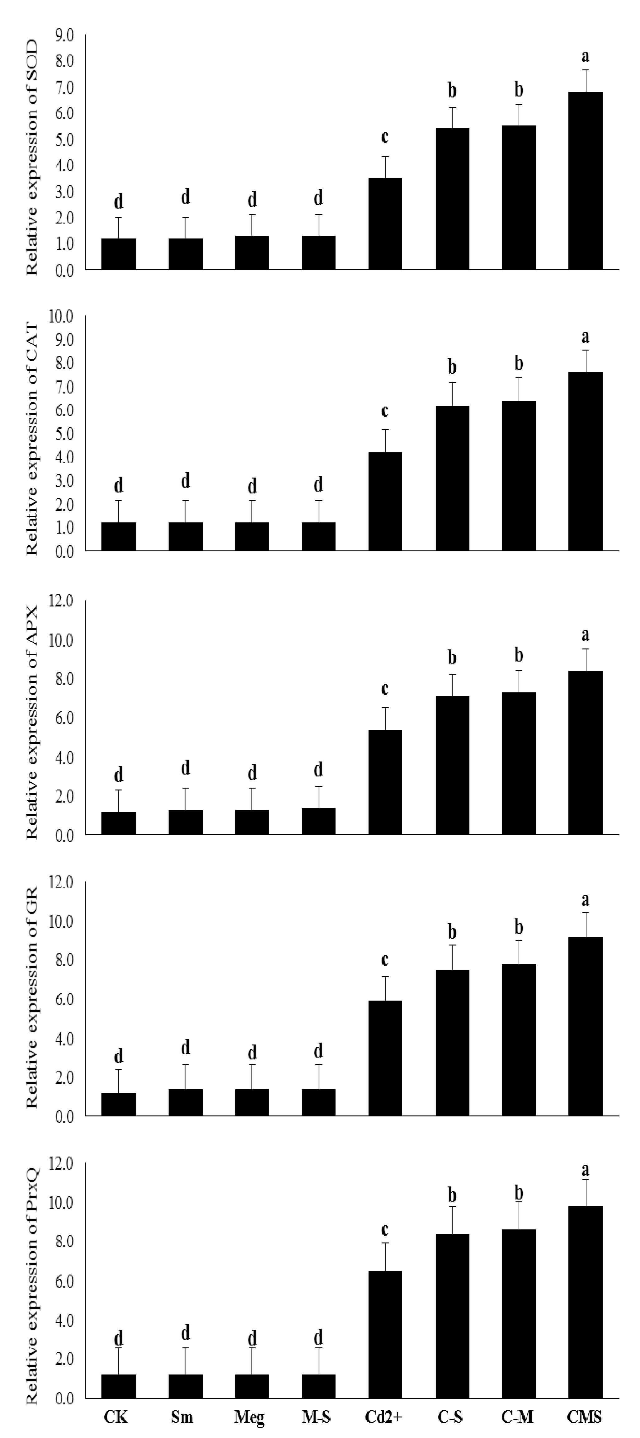 Biomolecules 11 00465 g005 Biomolecules 11 00465 g005
