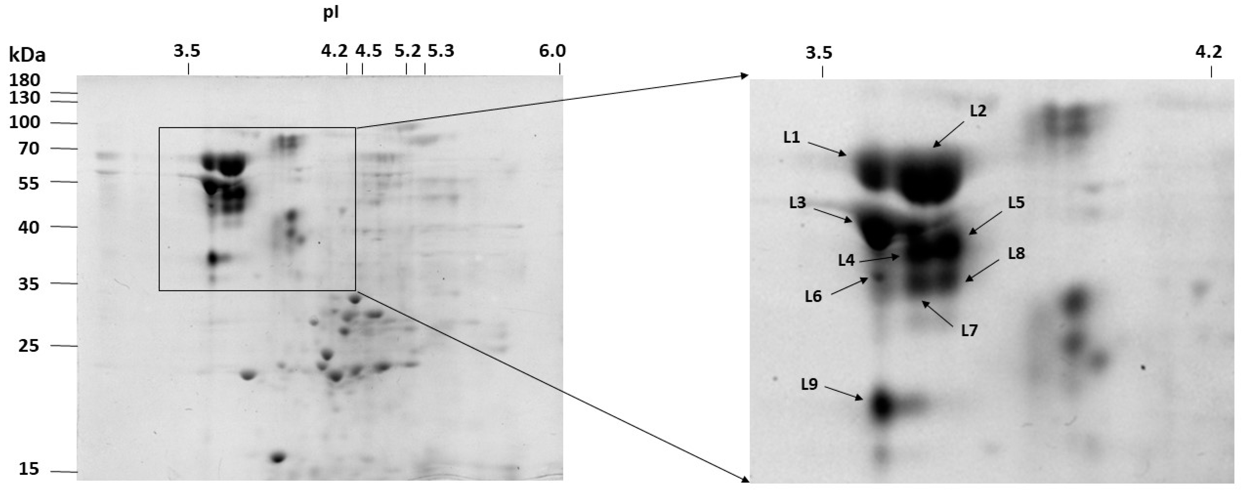 Biomolecules 11 00468 g004 Biomolecules 11 00468 g004