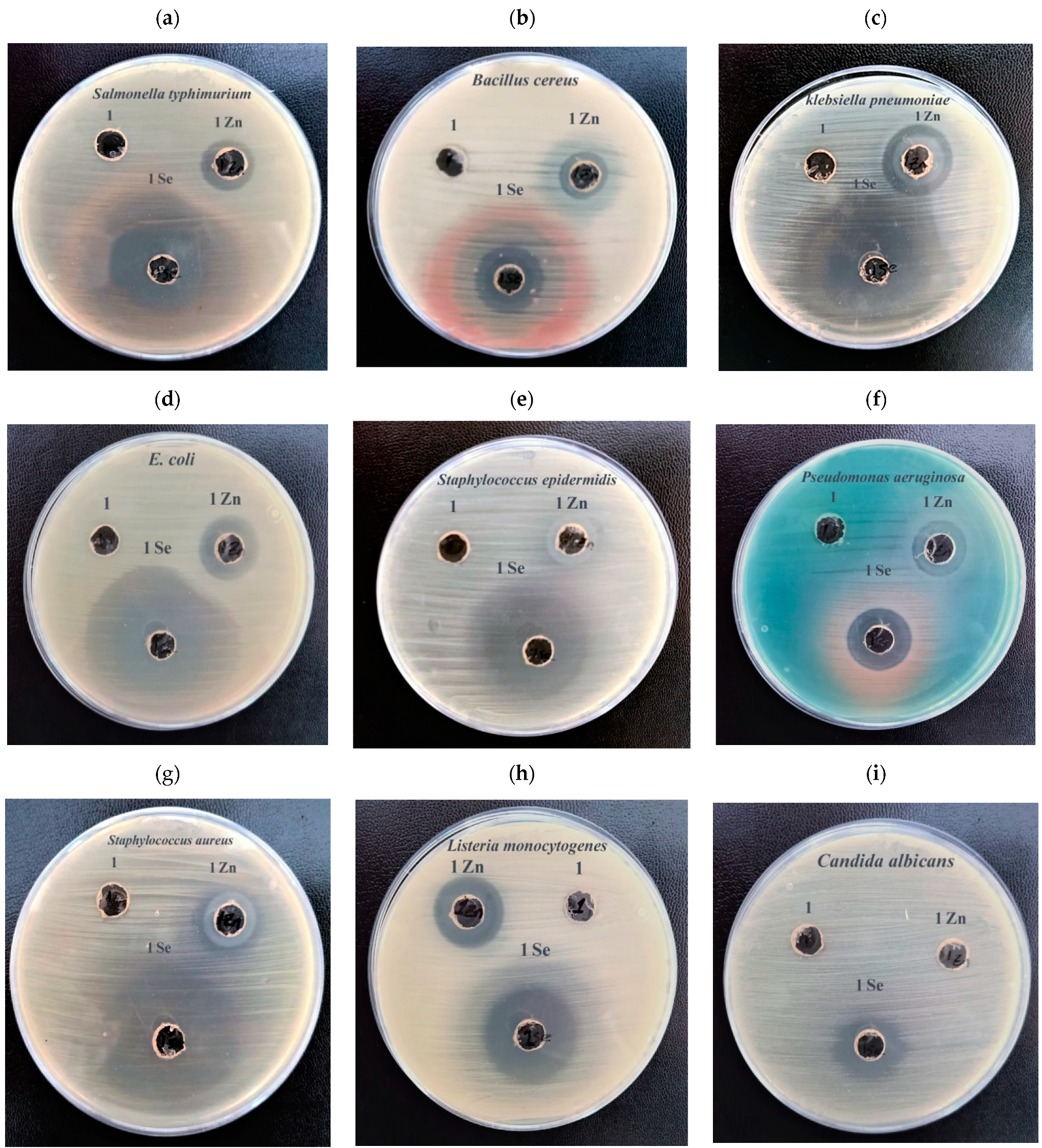 Biomolecules 11 00470 g005 Biomolecules 11 00470 g005