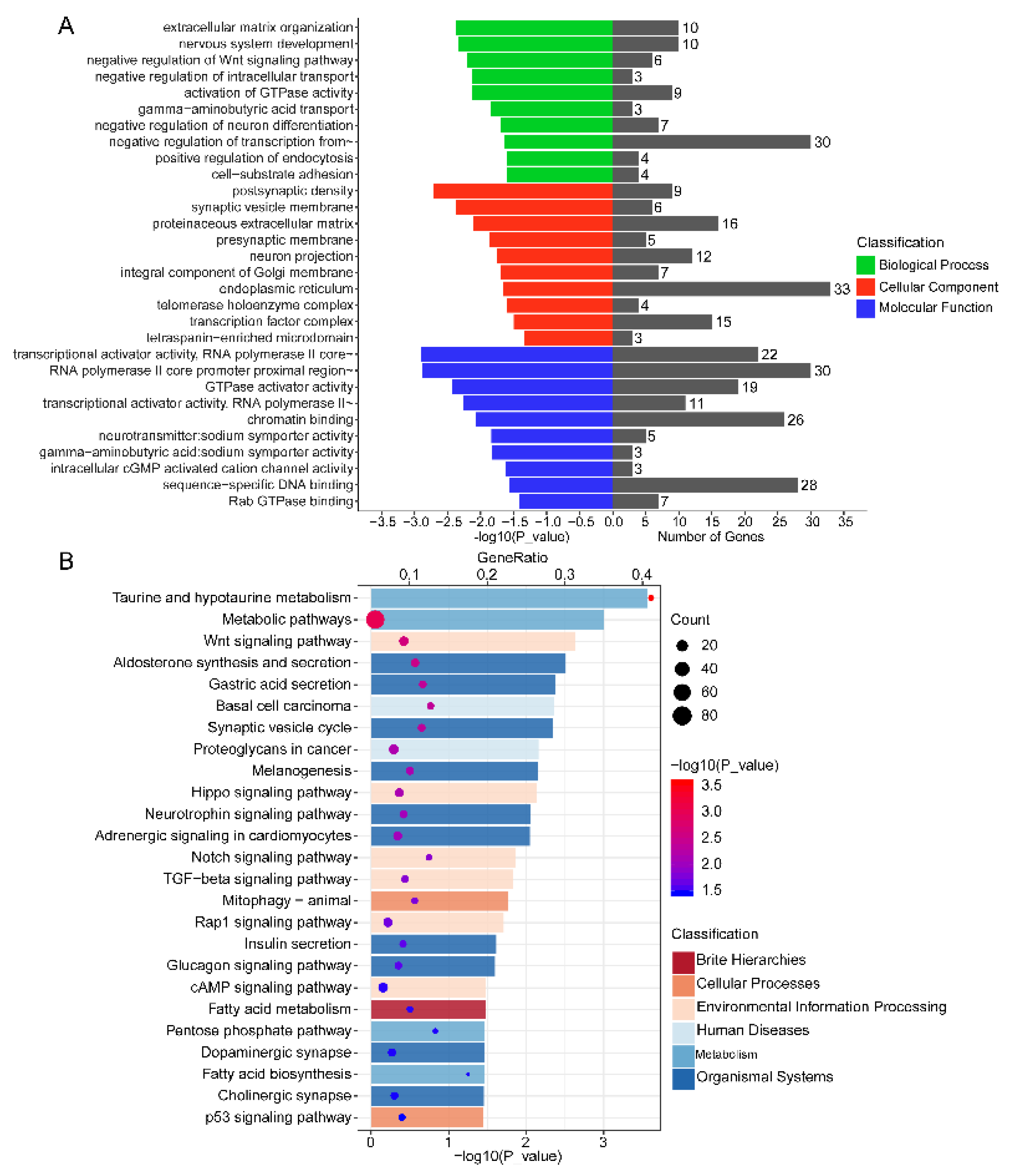 Biomolecules 11 00472 g006