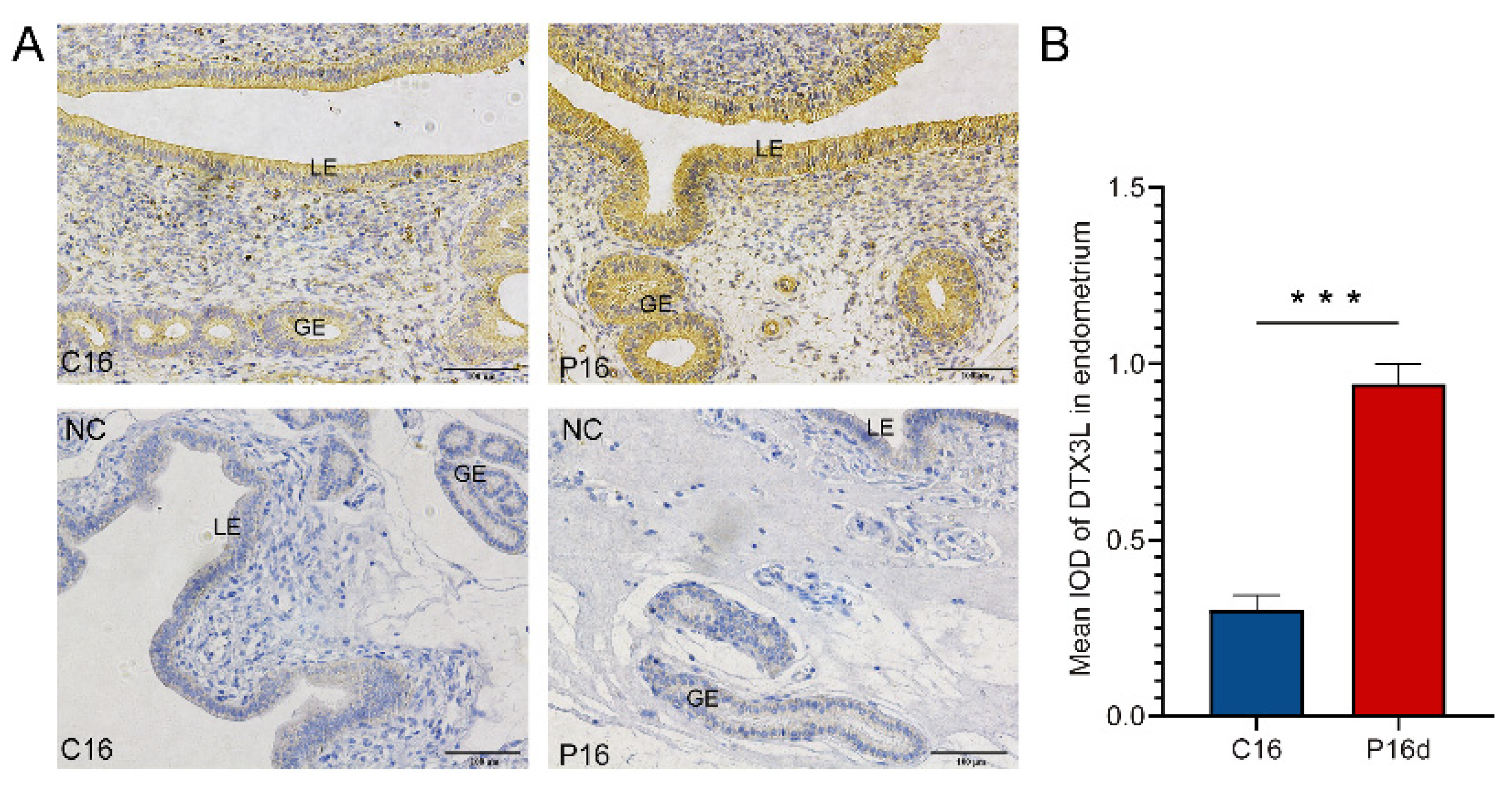 Biomolecules 11 00472 g009