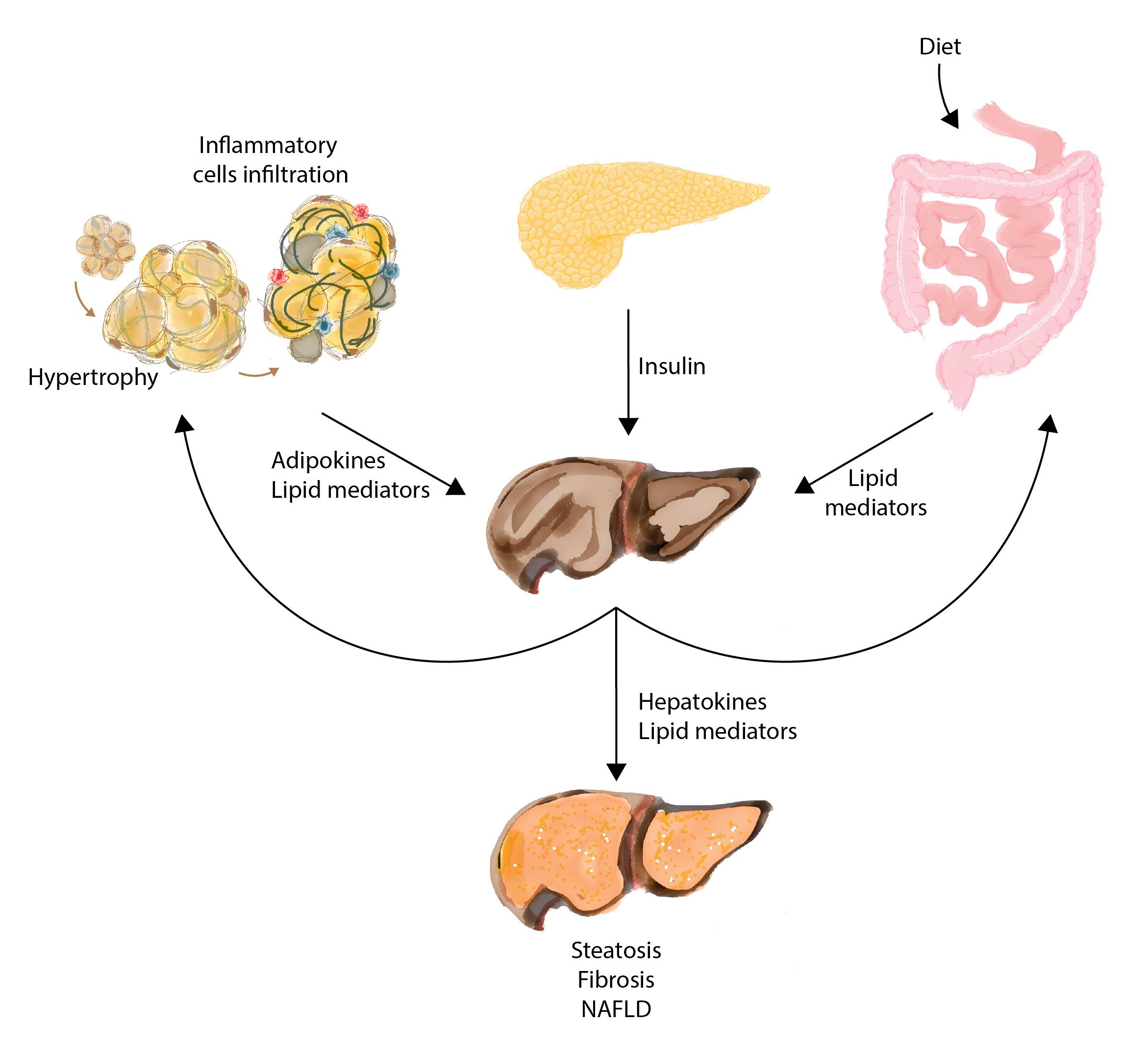 Biomolecules 11 00473 g004