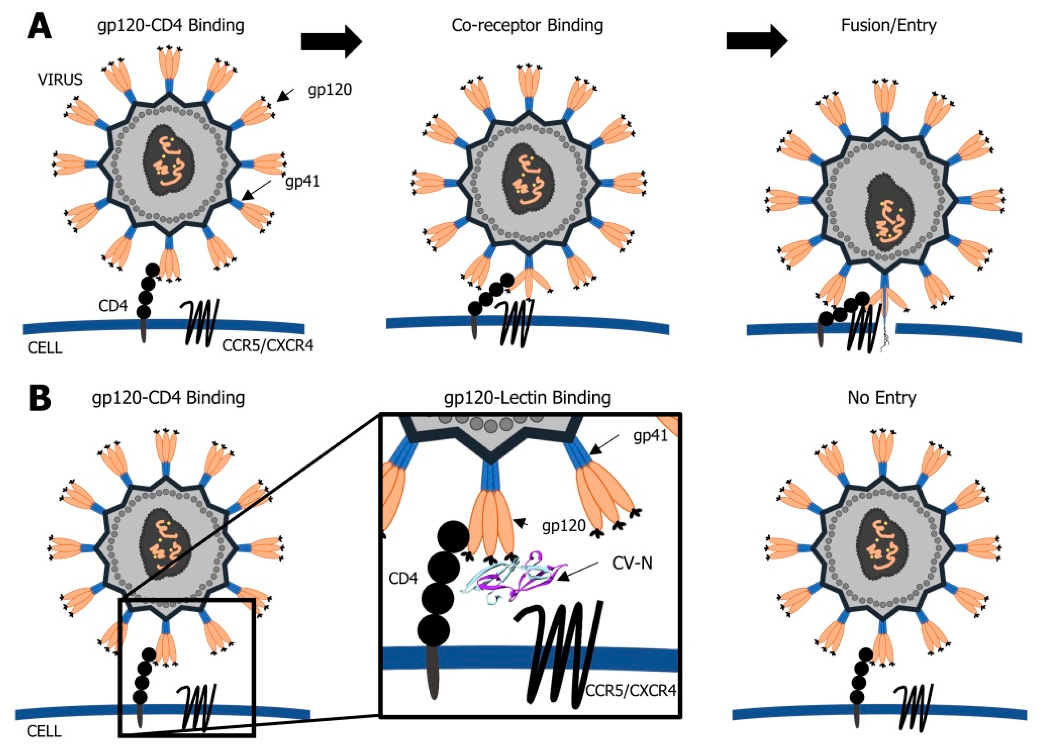 Biomolecules 11 00474 g002 Biomolecules 11 00474 g002