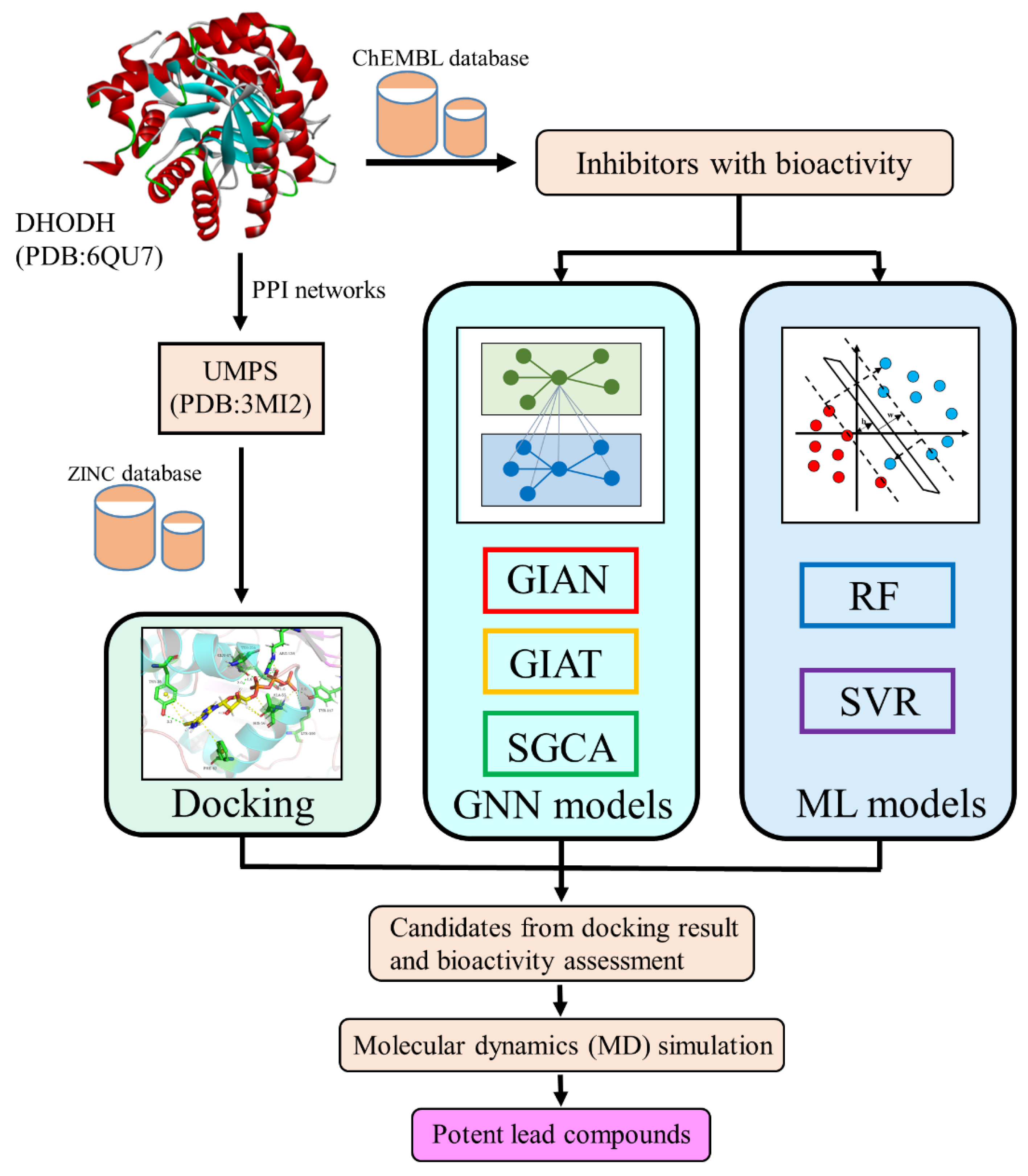 Biomolecules 11 00477 g001