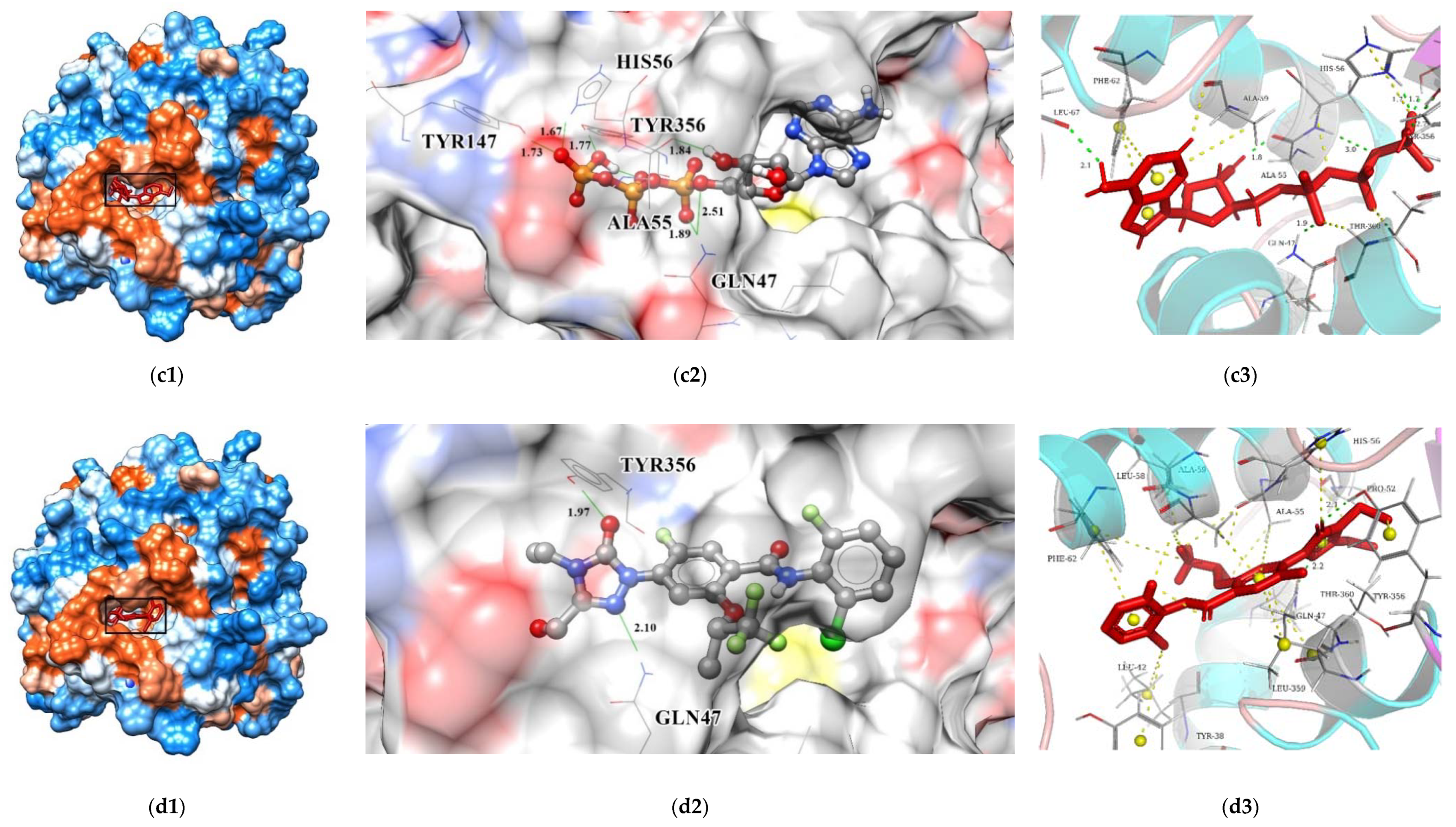 Biomolecules 11 00477 g015b