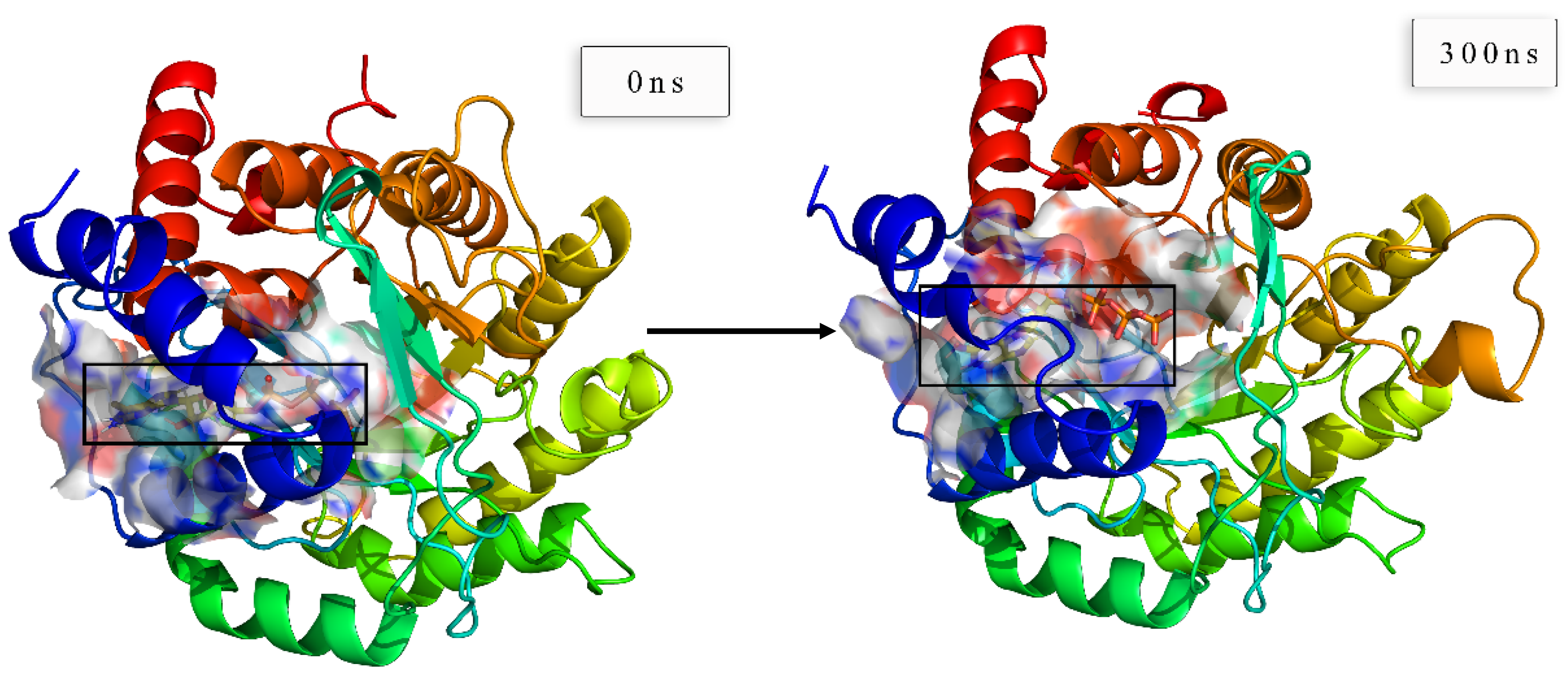 Biomolecules 11 00477 g020c