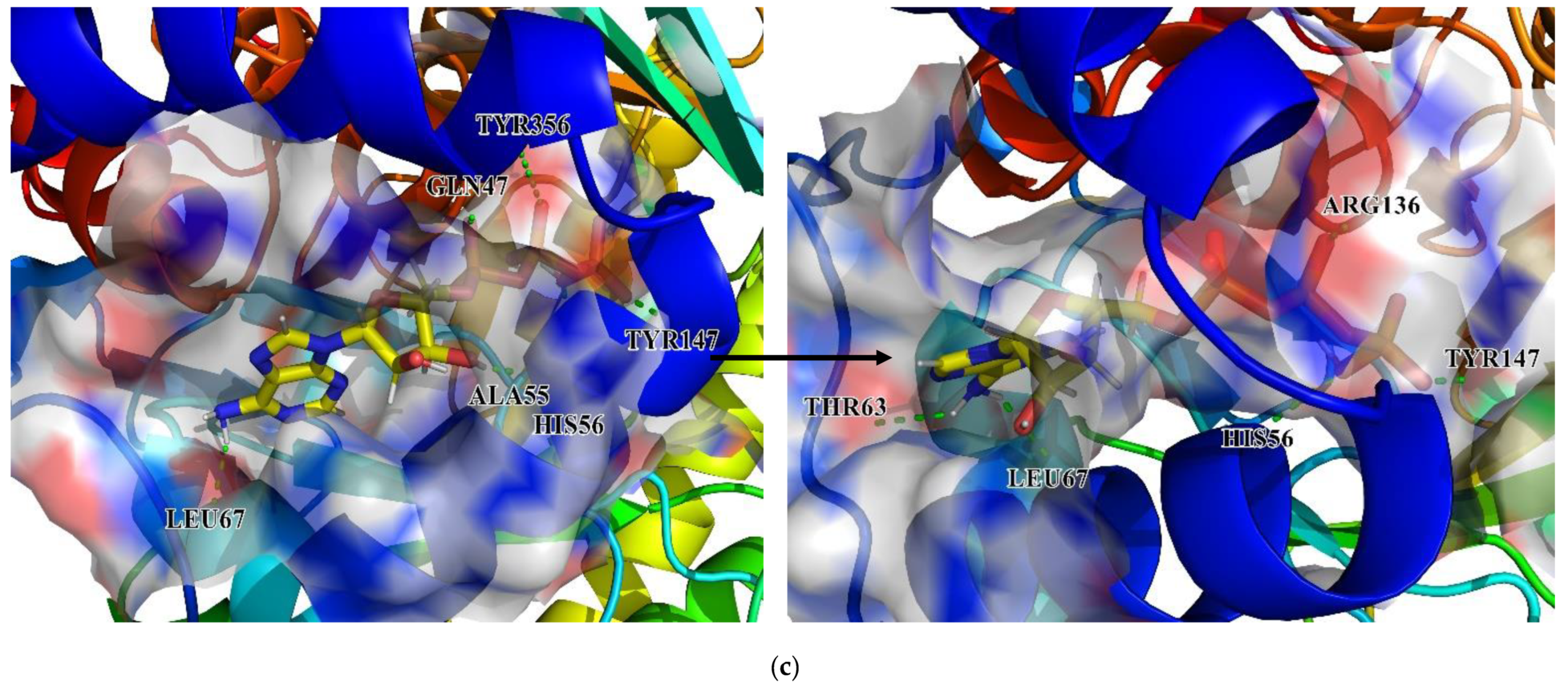 Biomolecules 11 00477 g020f